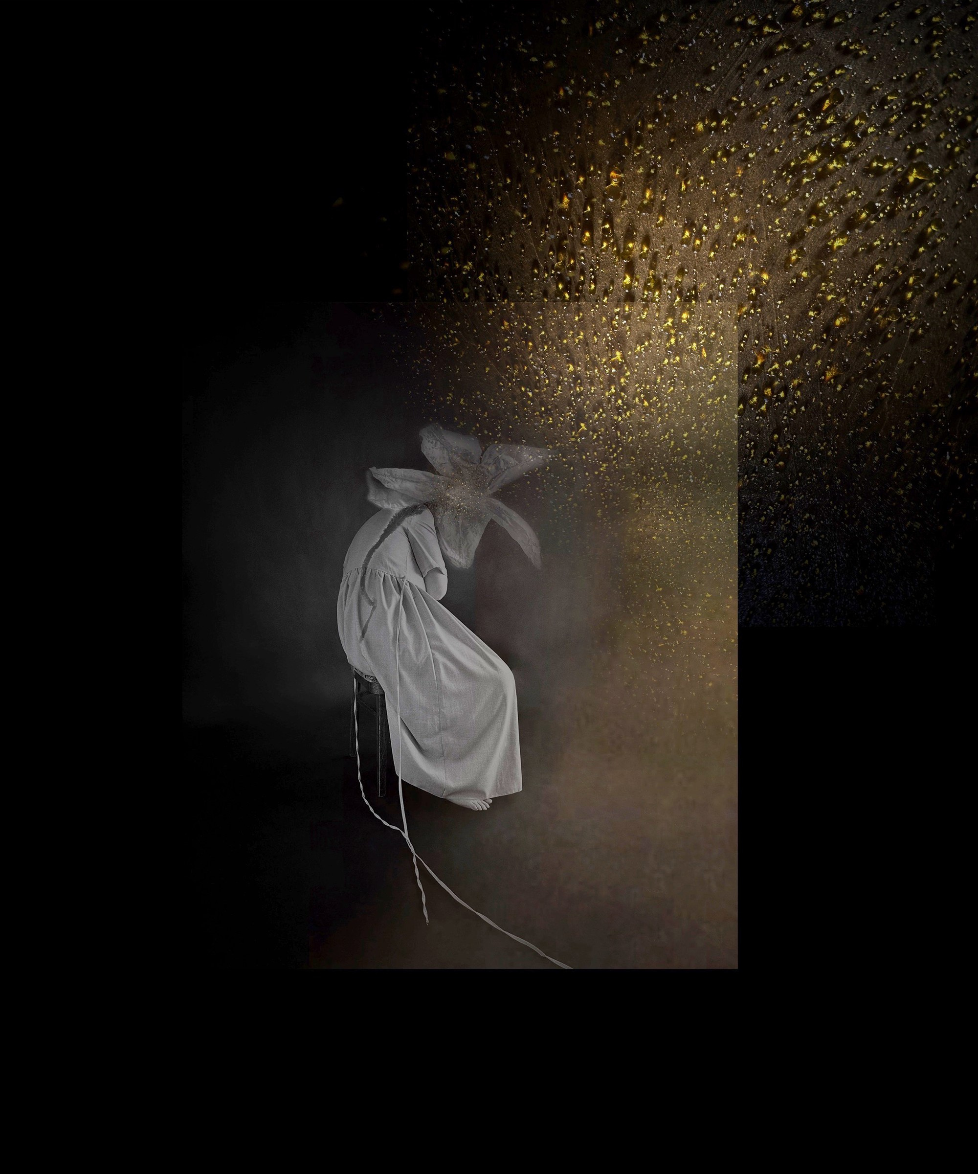 Портфолио. Визуальный художник Ольга Кутерина