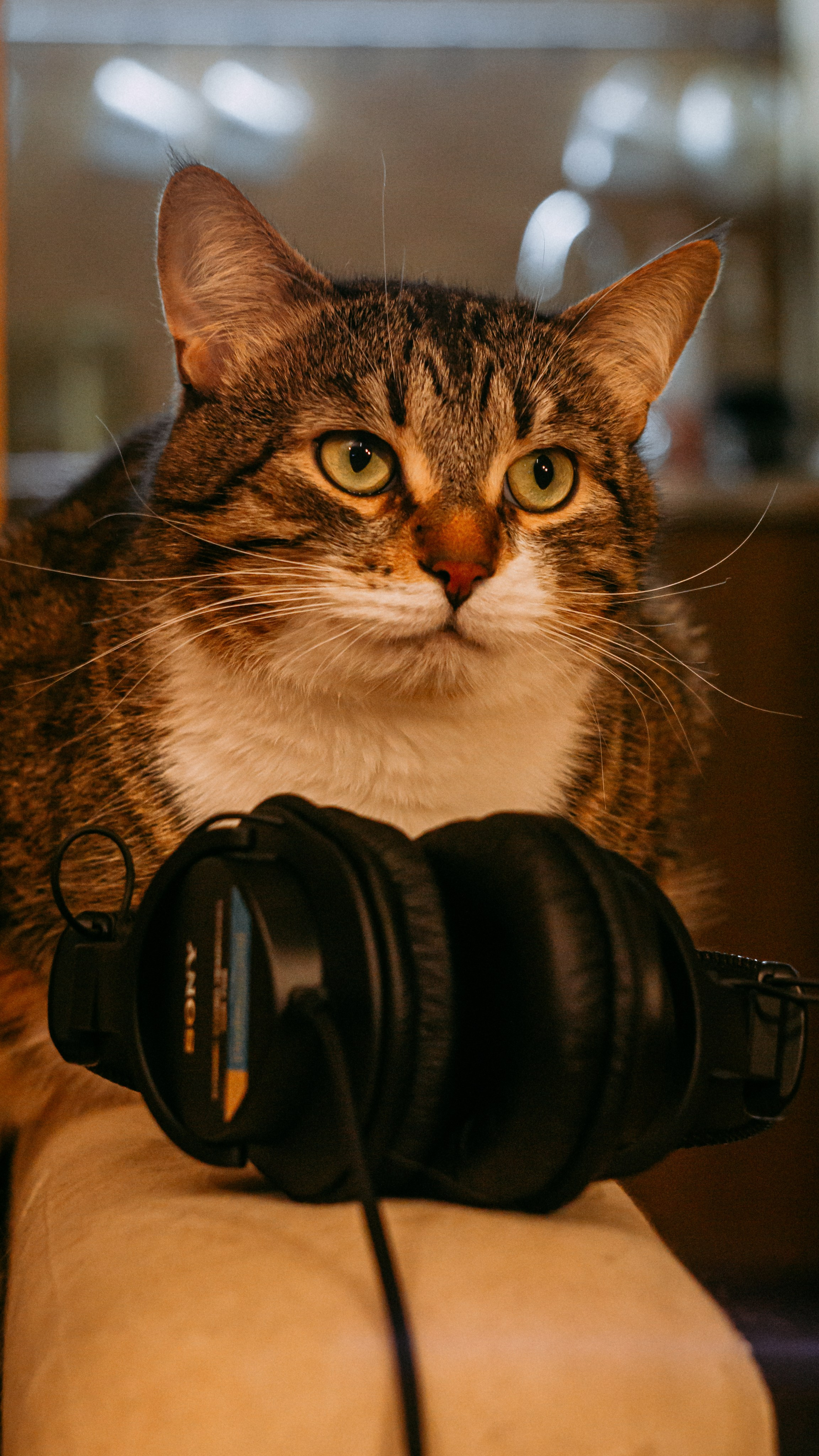 Фотосъемка записи песни в студии. ФОТОГРАФ В МОСКВЕ ЛЮДМИЛА СТРОКОВА