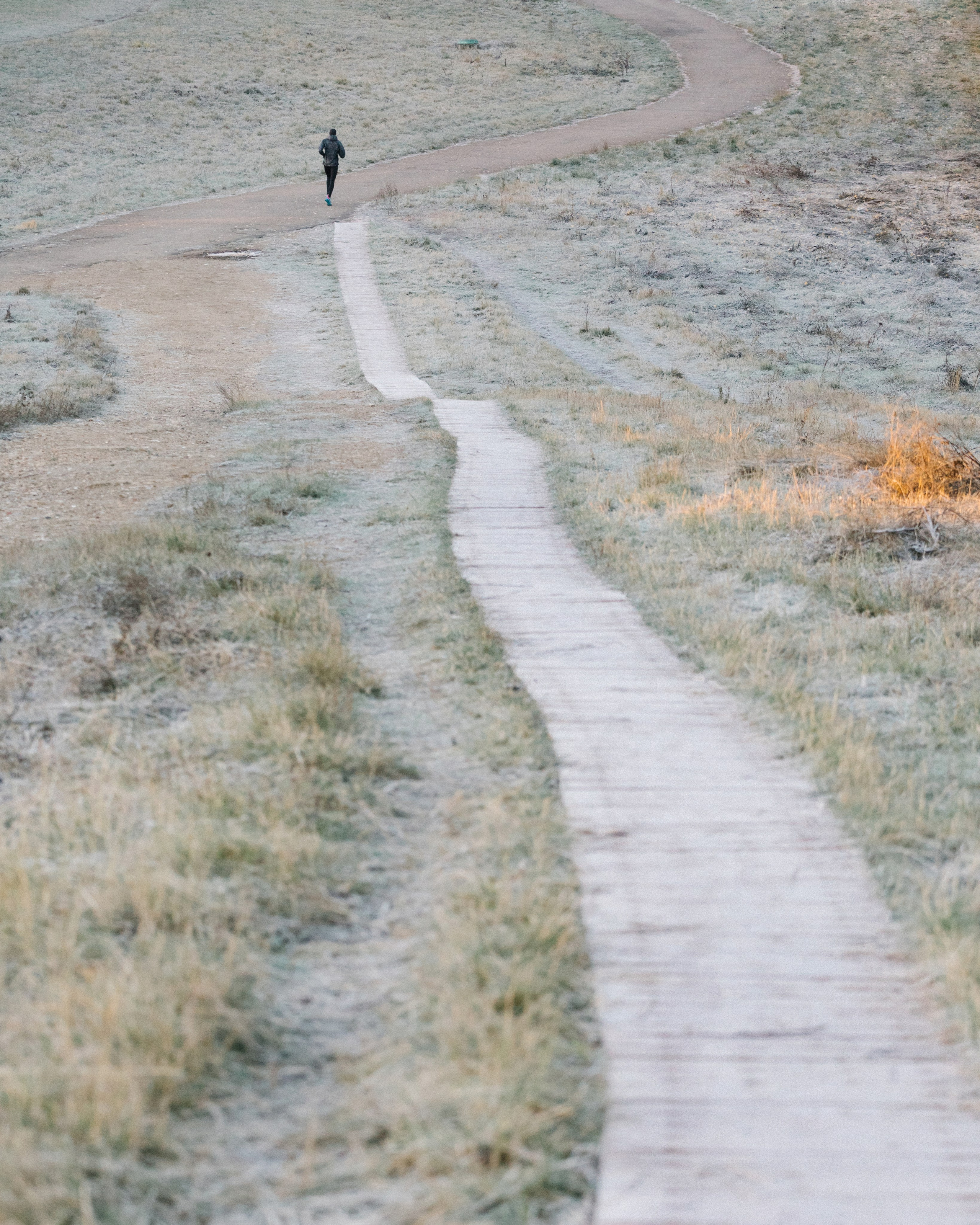 Life. Лена Крутова. Фотограф в Москве