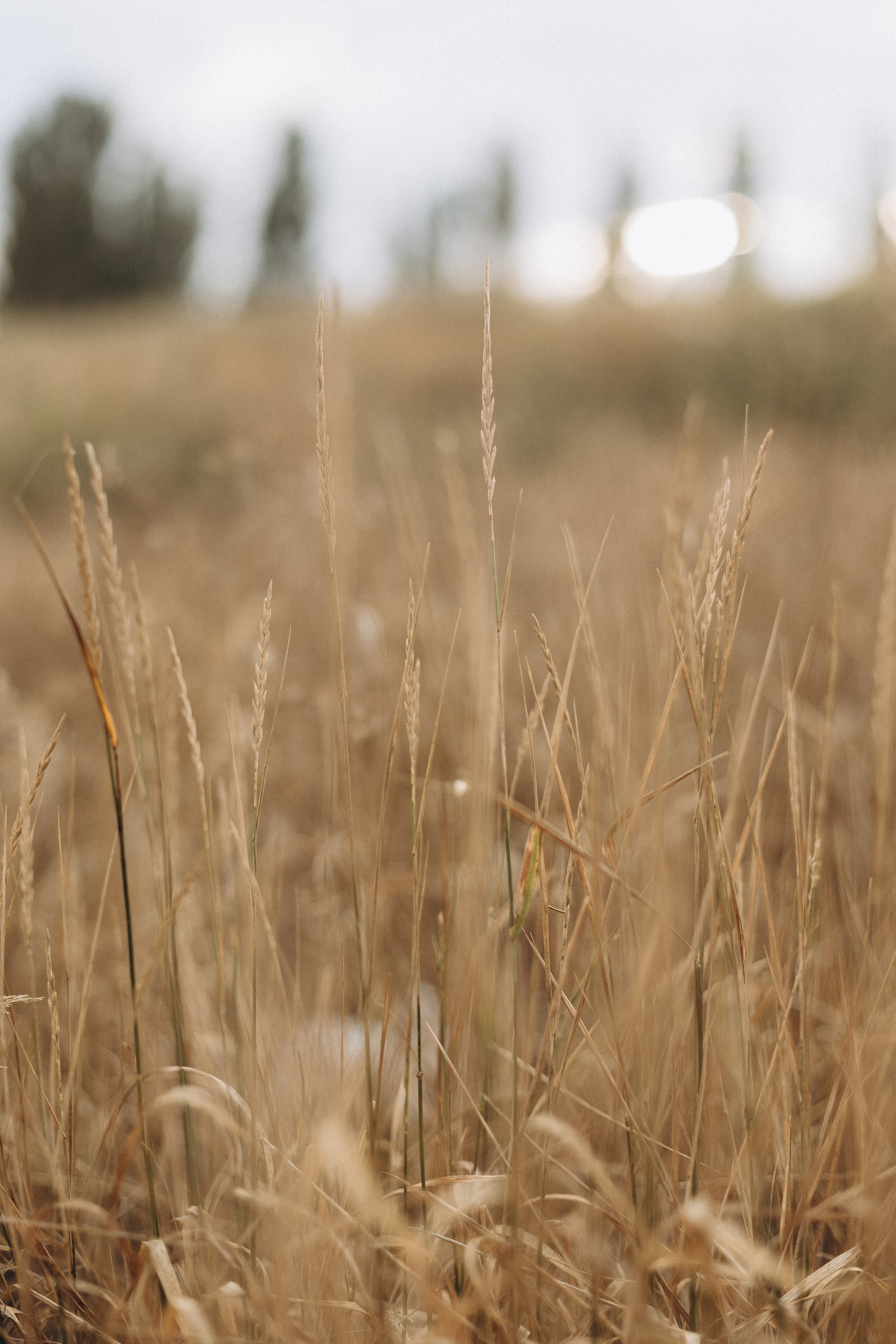 Ольга и Марк. Главная