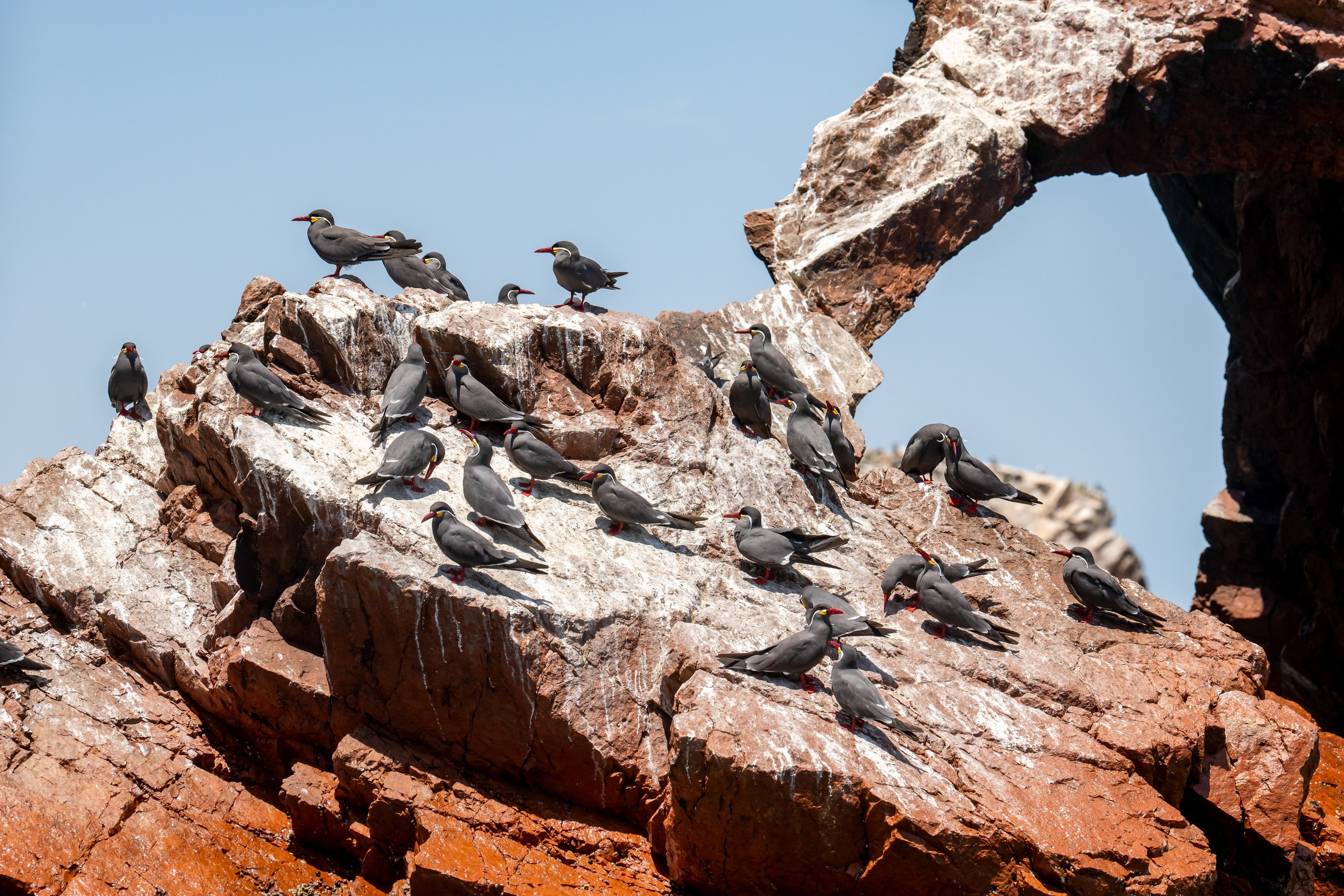Перу. Foto-Zuev фотография как искусство