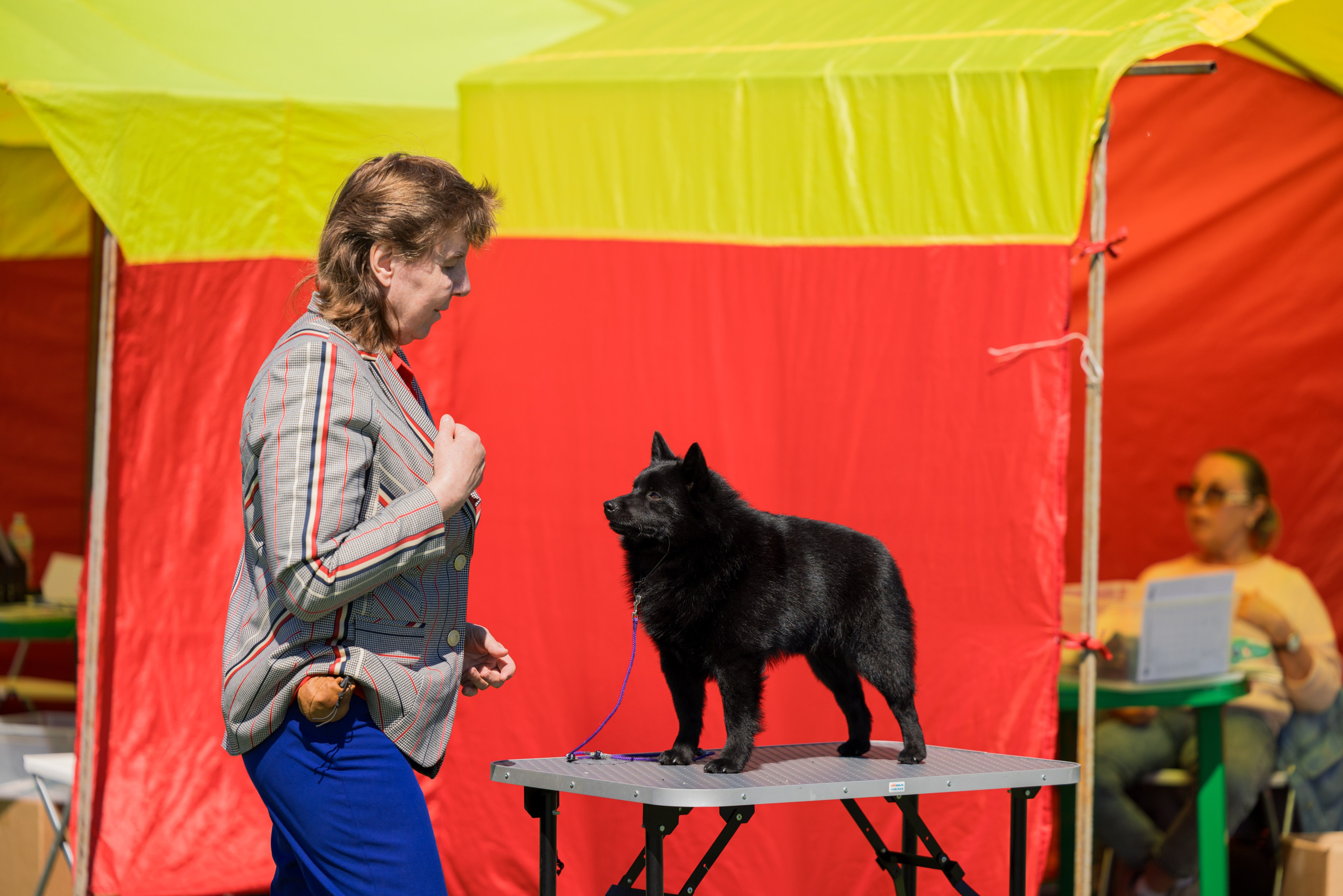 Суздаль 18-19.05.2024. Фотограф-анималист Юлия Германика