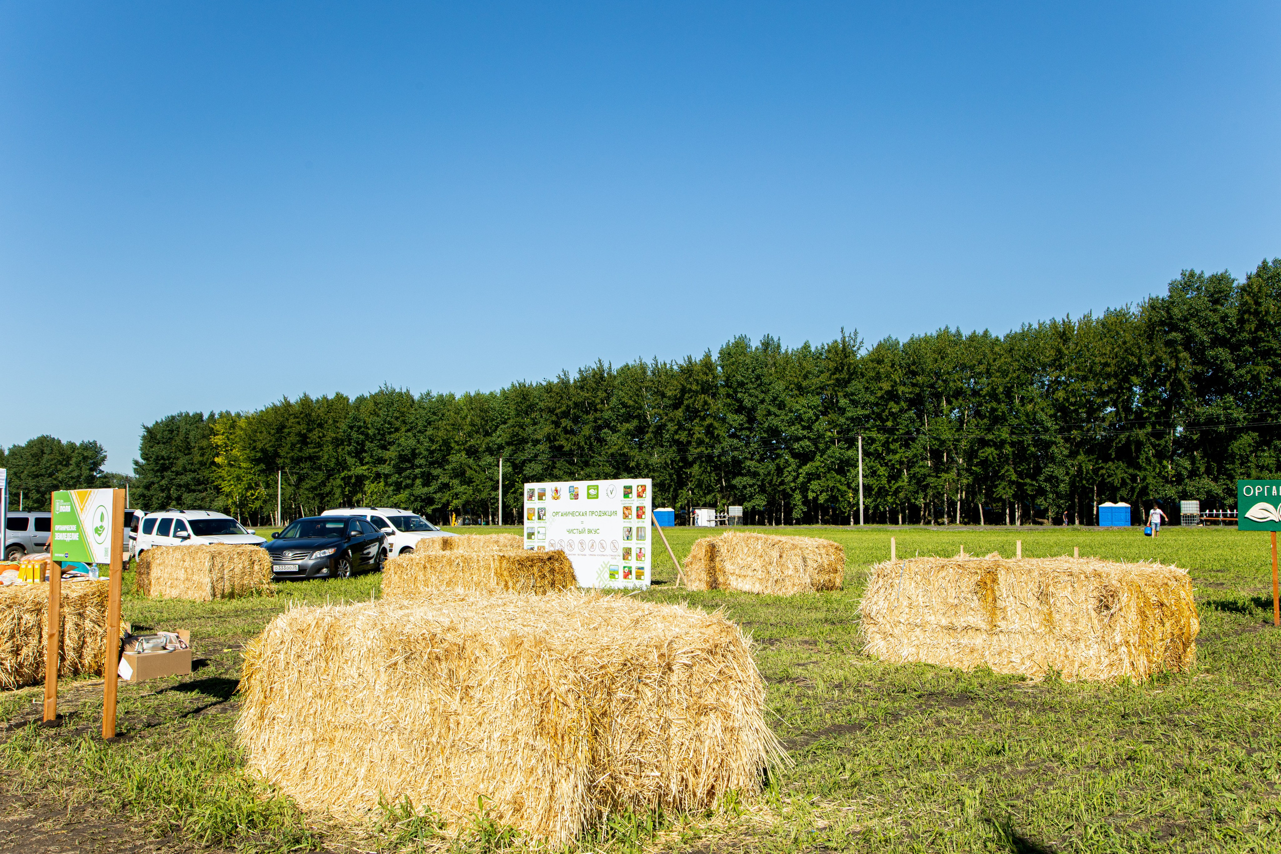 День Поля 2022. Владислав Волков | Фотография и видеосъемка в Воронеже