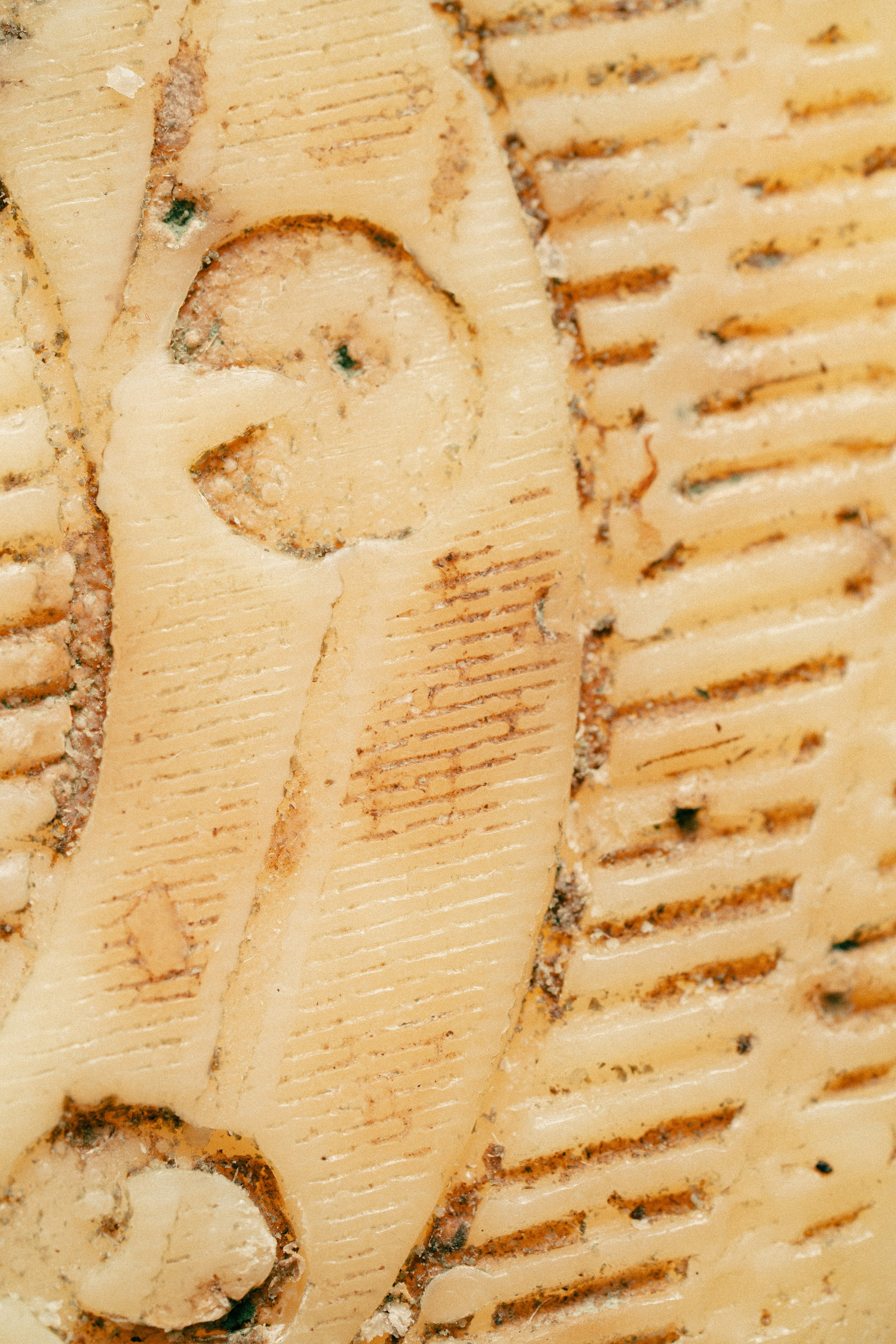 Jam. Фотограф Калинич Юлия