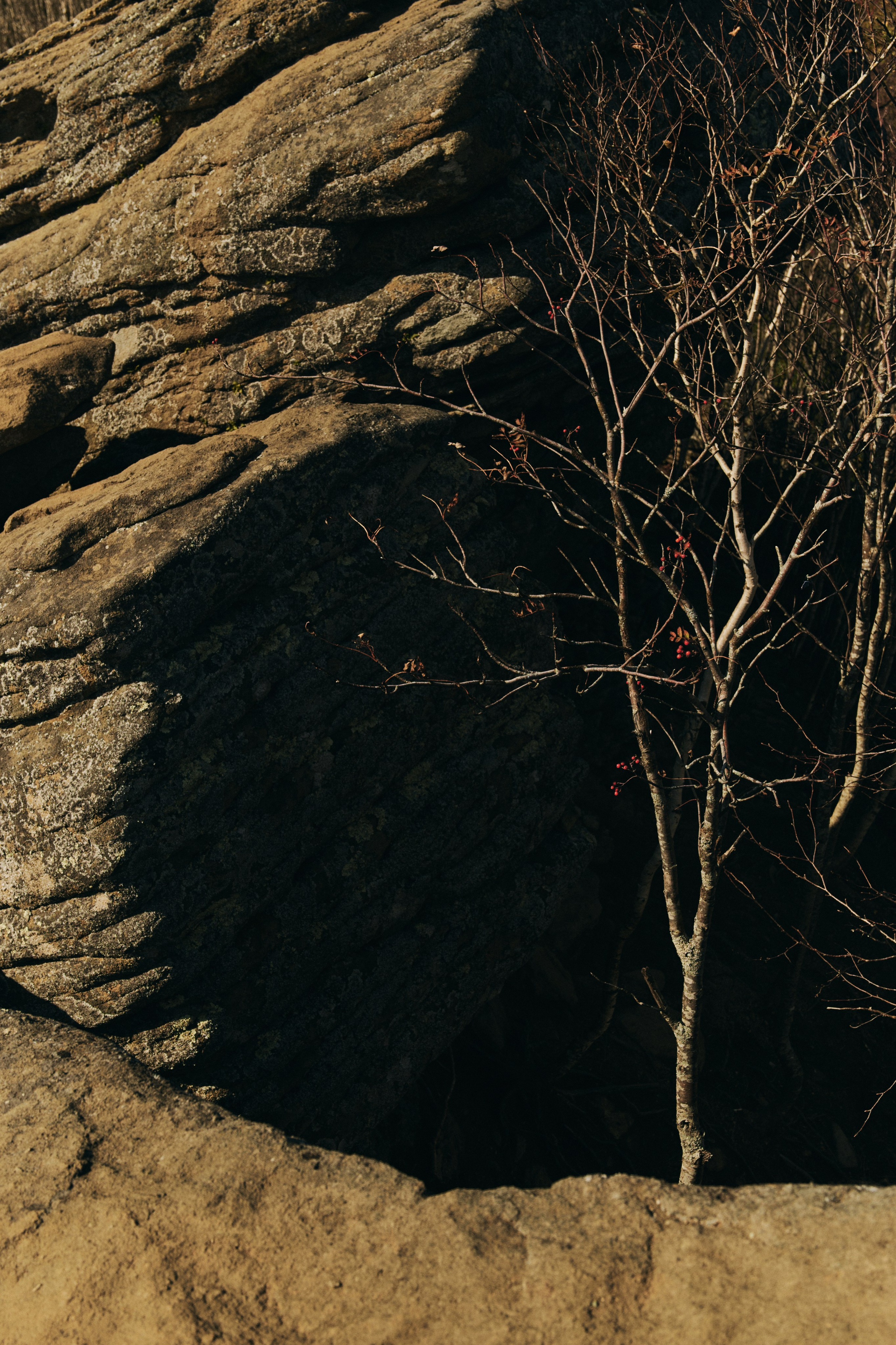 BAON x SAKHALIN. Фотограф Сурков Никита