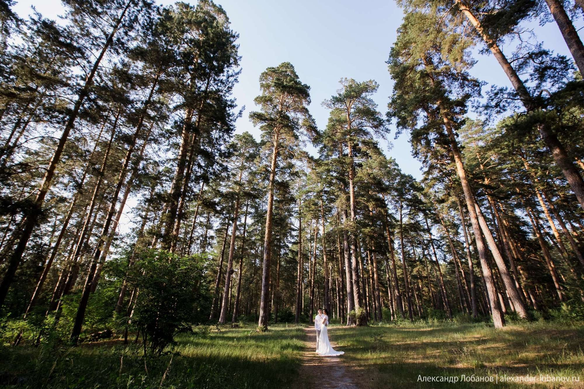 Свадьба Антона и Татьяны