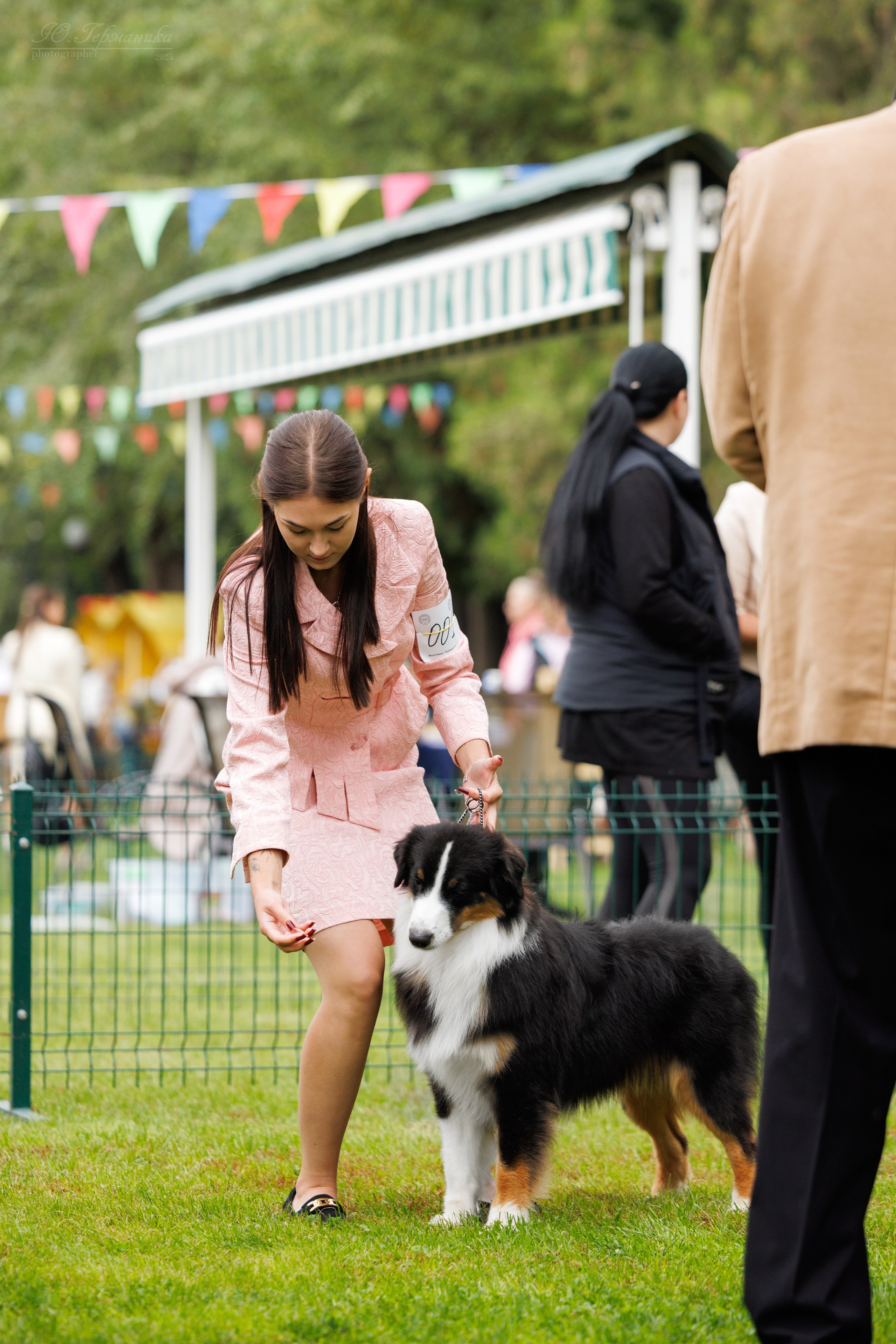 Бишкек 3х CACIB 26-28.09.2025. Фотограф-анималист Юлия Германика
