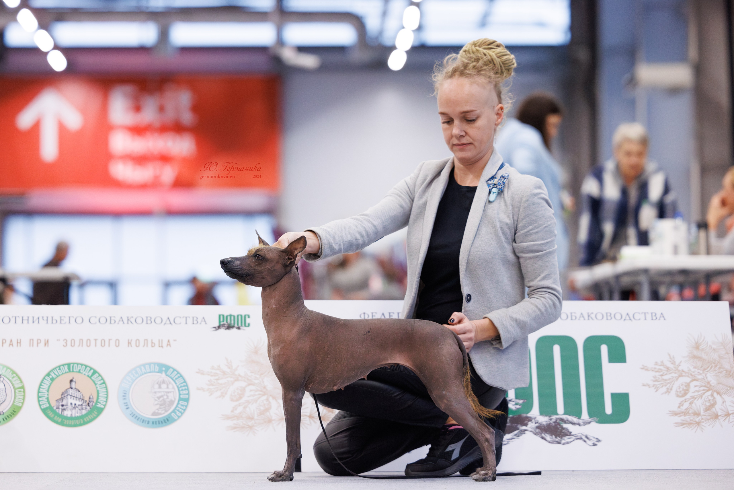 Казань Зилант 30-01.12 2024. Фотограф-анималист Юлия Германика