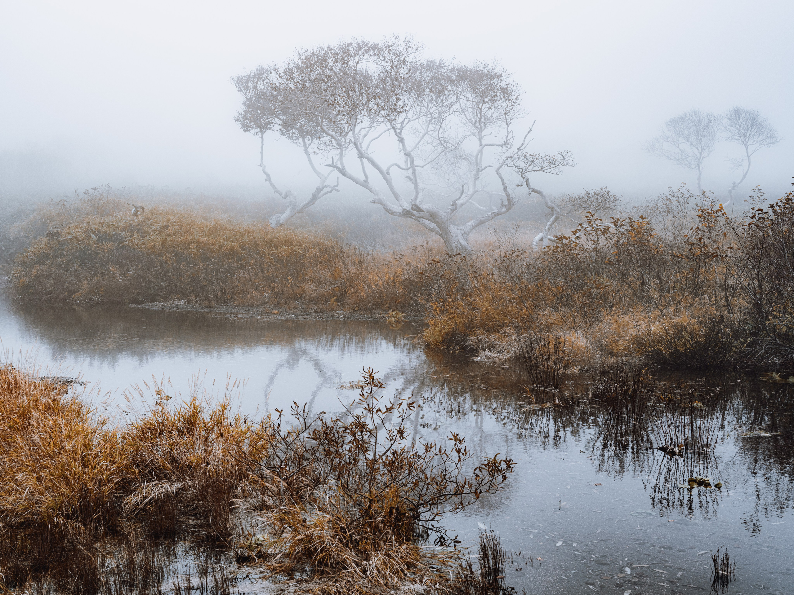 Фотограф Шумков Дмитрий Snm981