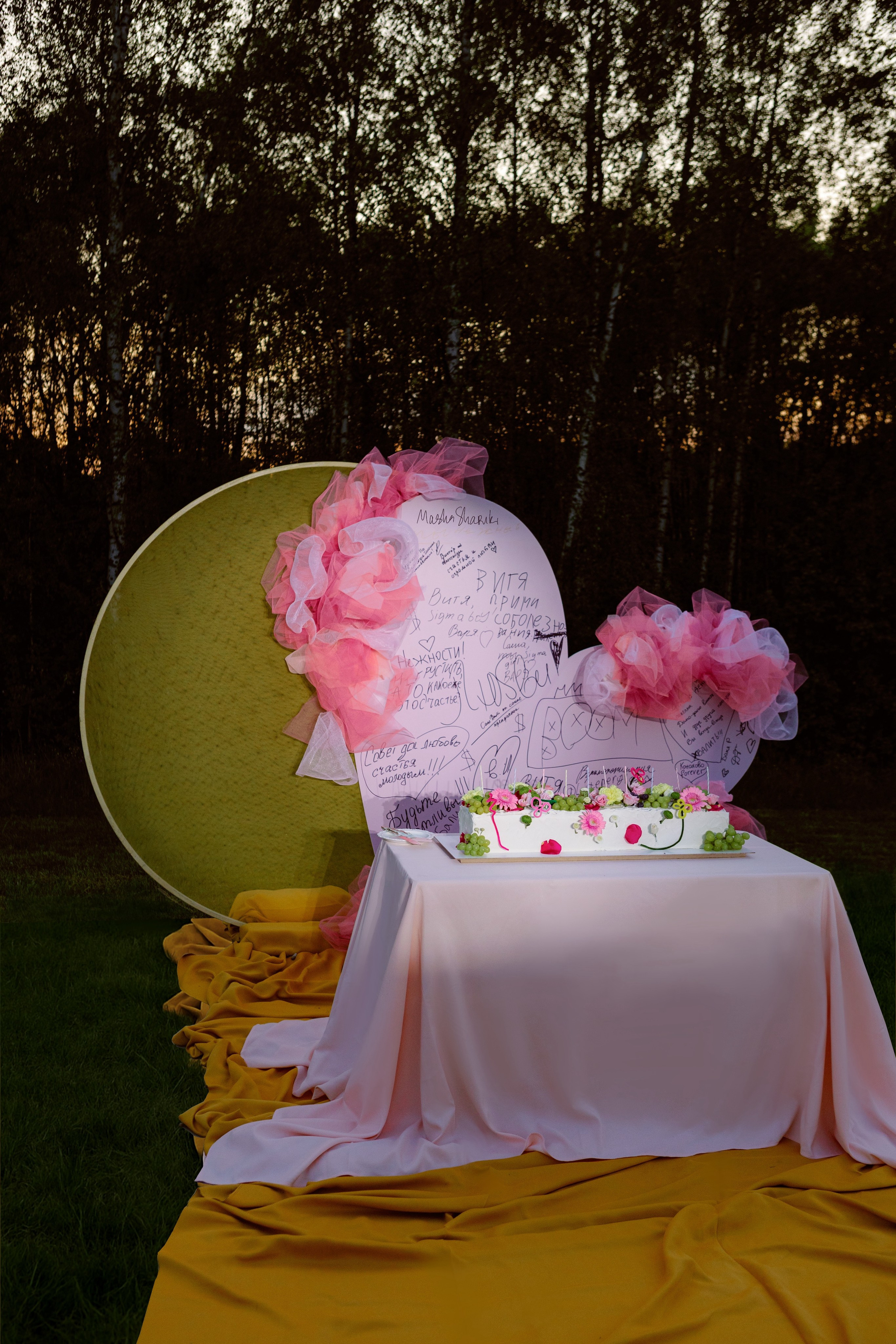 В|A | 06.06.2025 | МО, Шаховская. МашаШарики | Декоратор | Москва