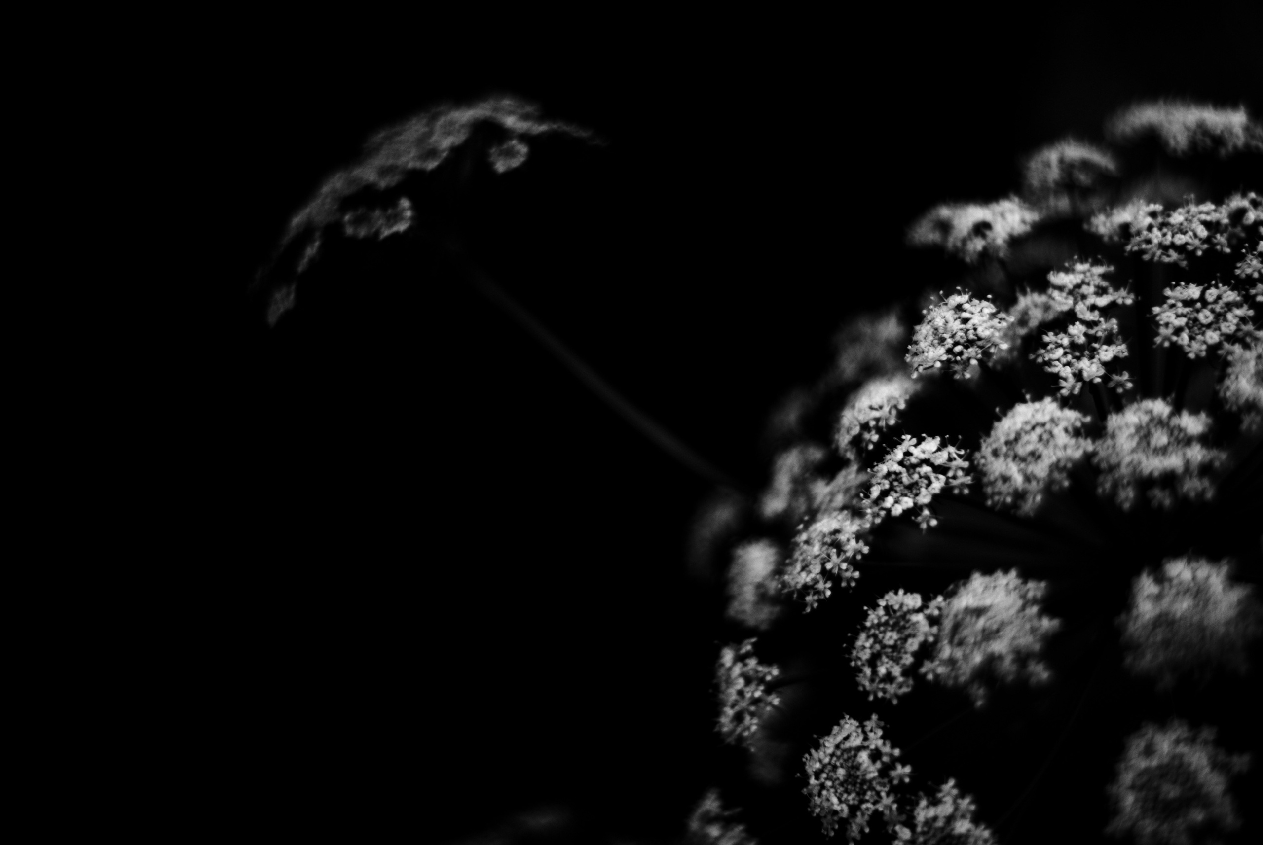 Внутривенные сны (2018-2023)