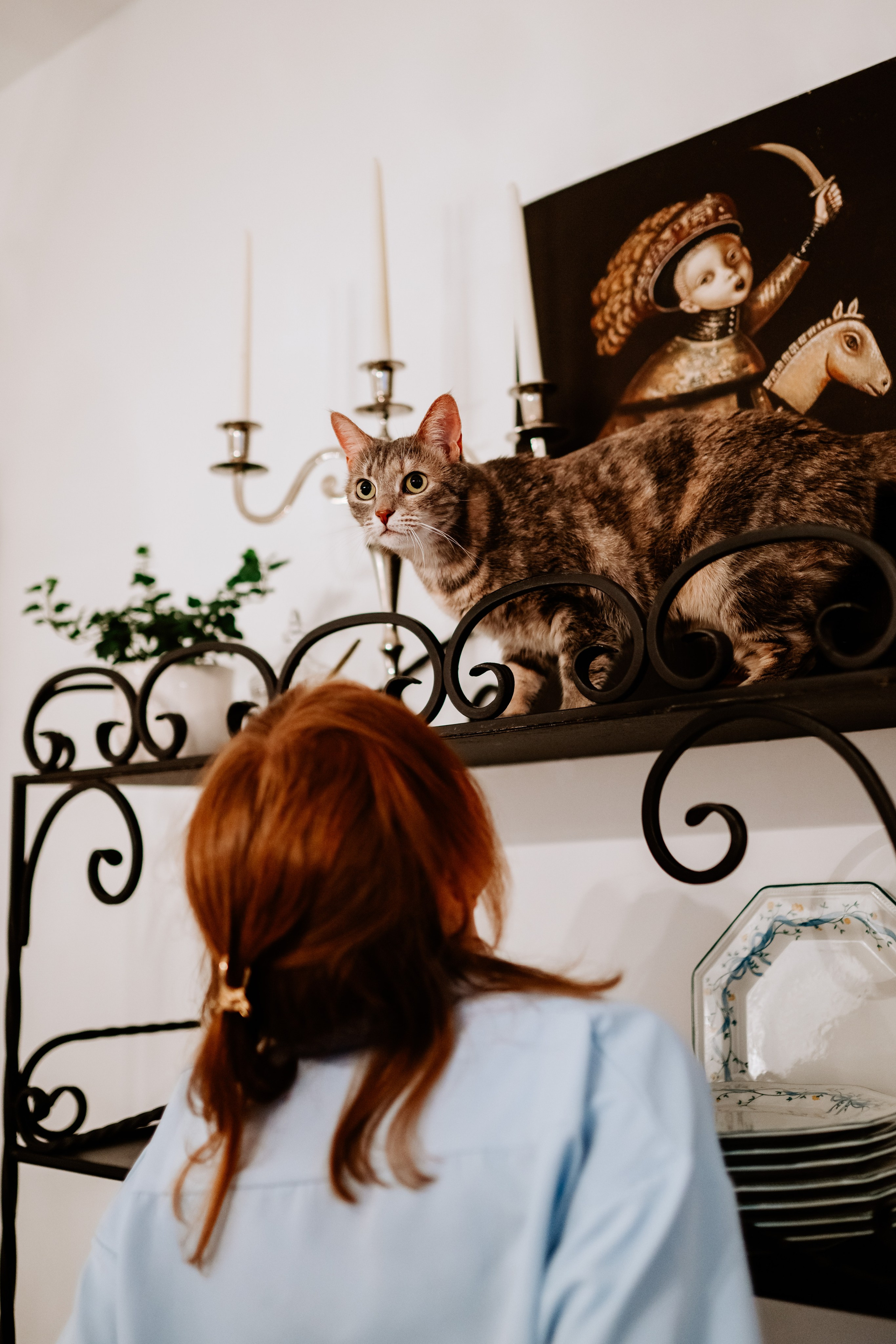 Натали и Иззи. Фотограф анималист в Спб недорого Олеся Майорова