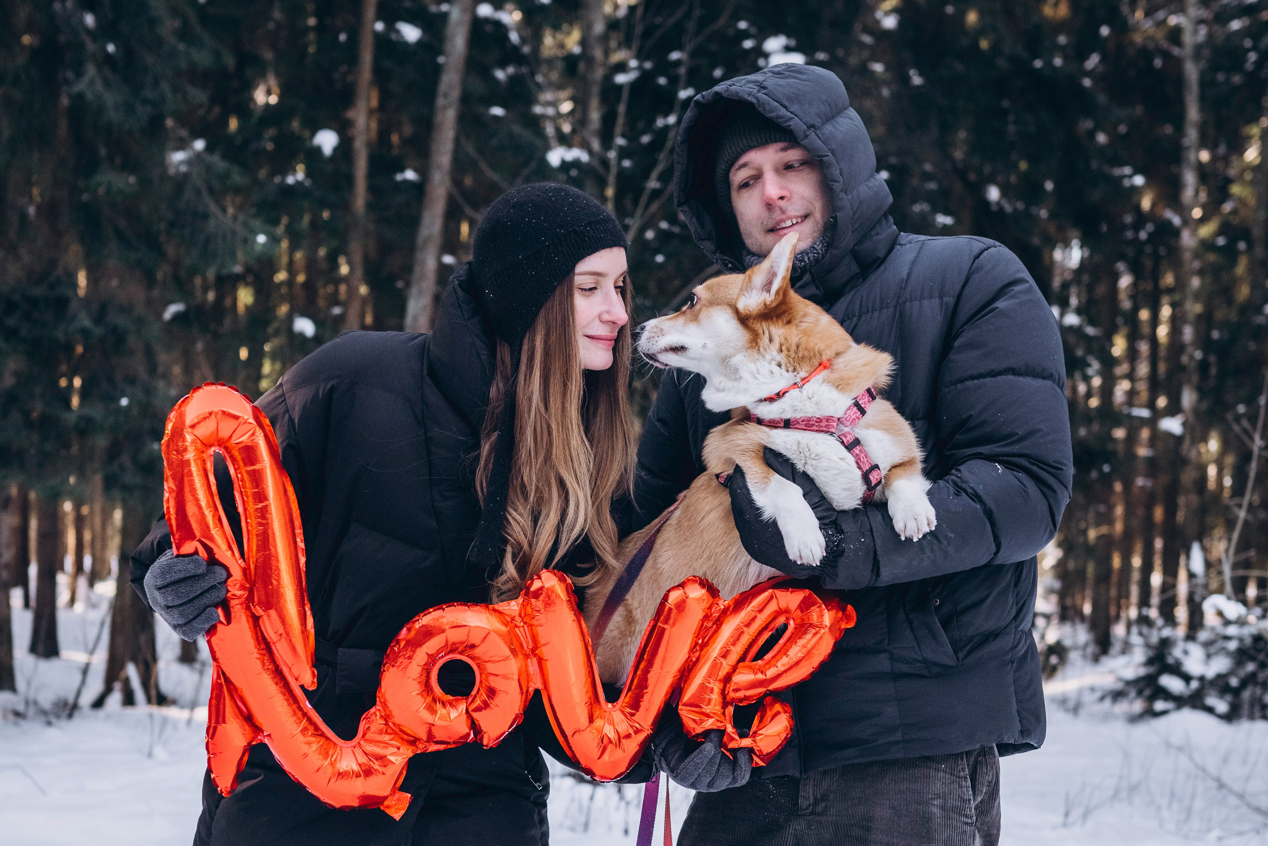 Фотодень Святого Валентина. Фотограф анималист в Спб недорого Олеся Майорова