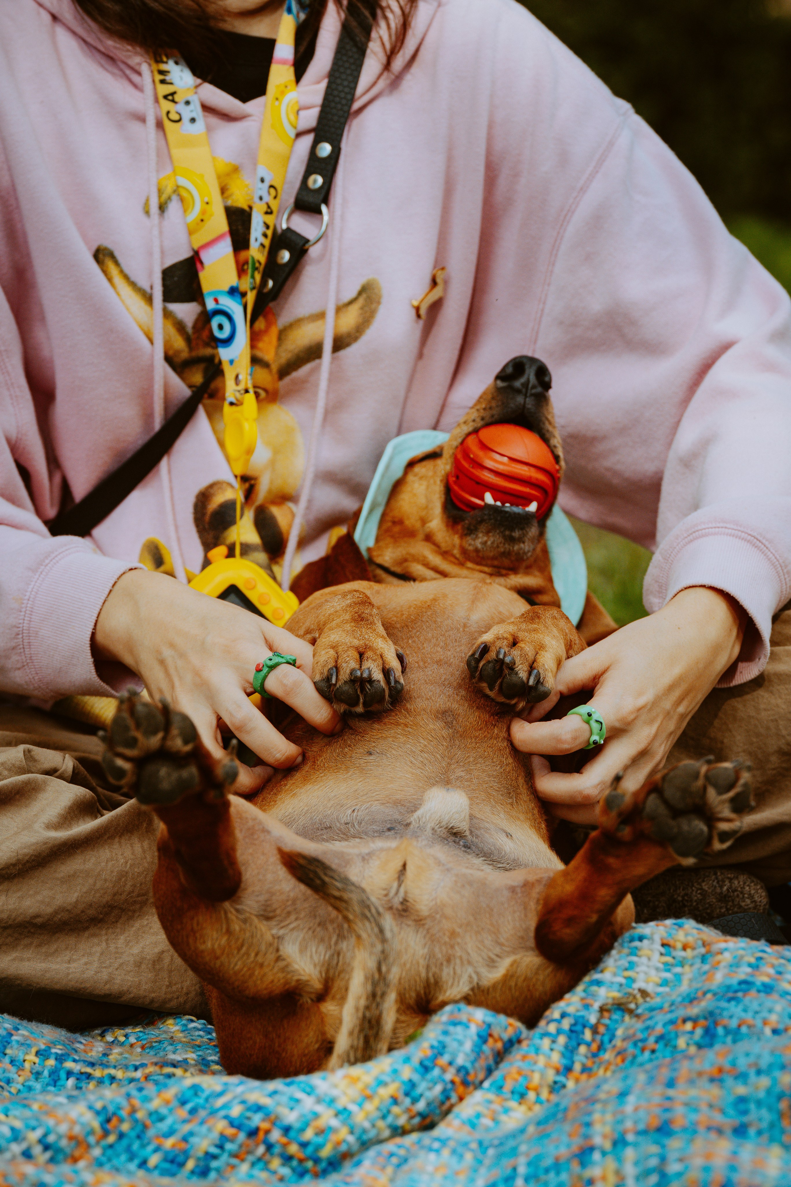 Такспарад. Фотограф анималист в Спб недорого Олеся Майорова