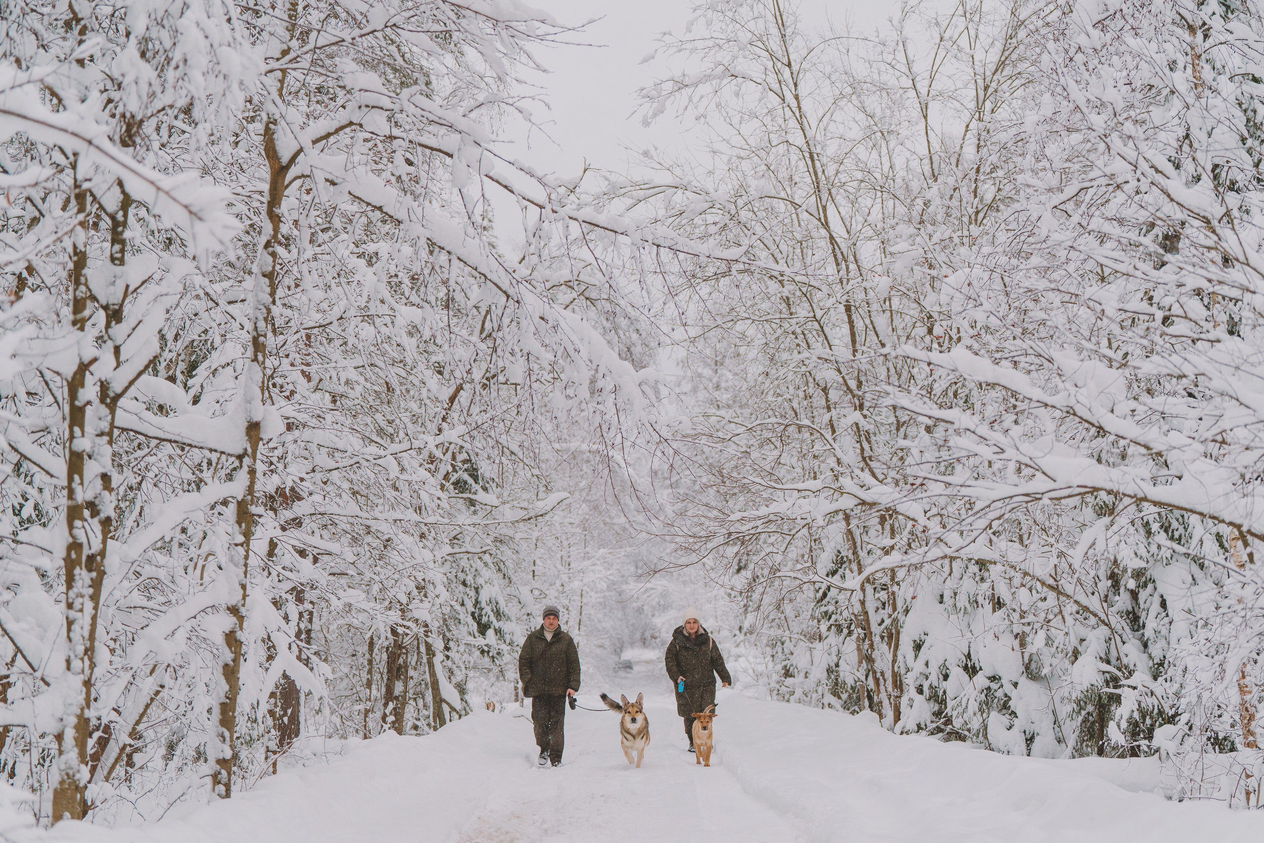 Фотосессия с питомцами на природе. Фотограф анималист в Спб недорого Олеся Майорова