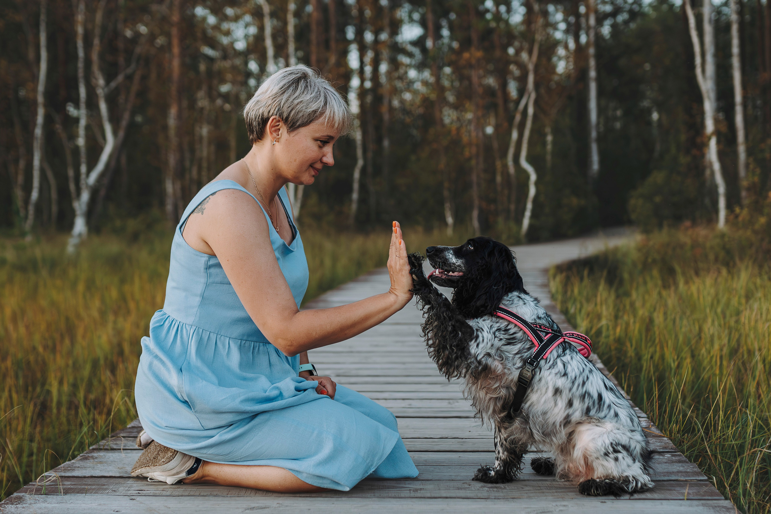 Аня и Тея. Фотограф анималист в Спб недорого Олеся Майорова
