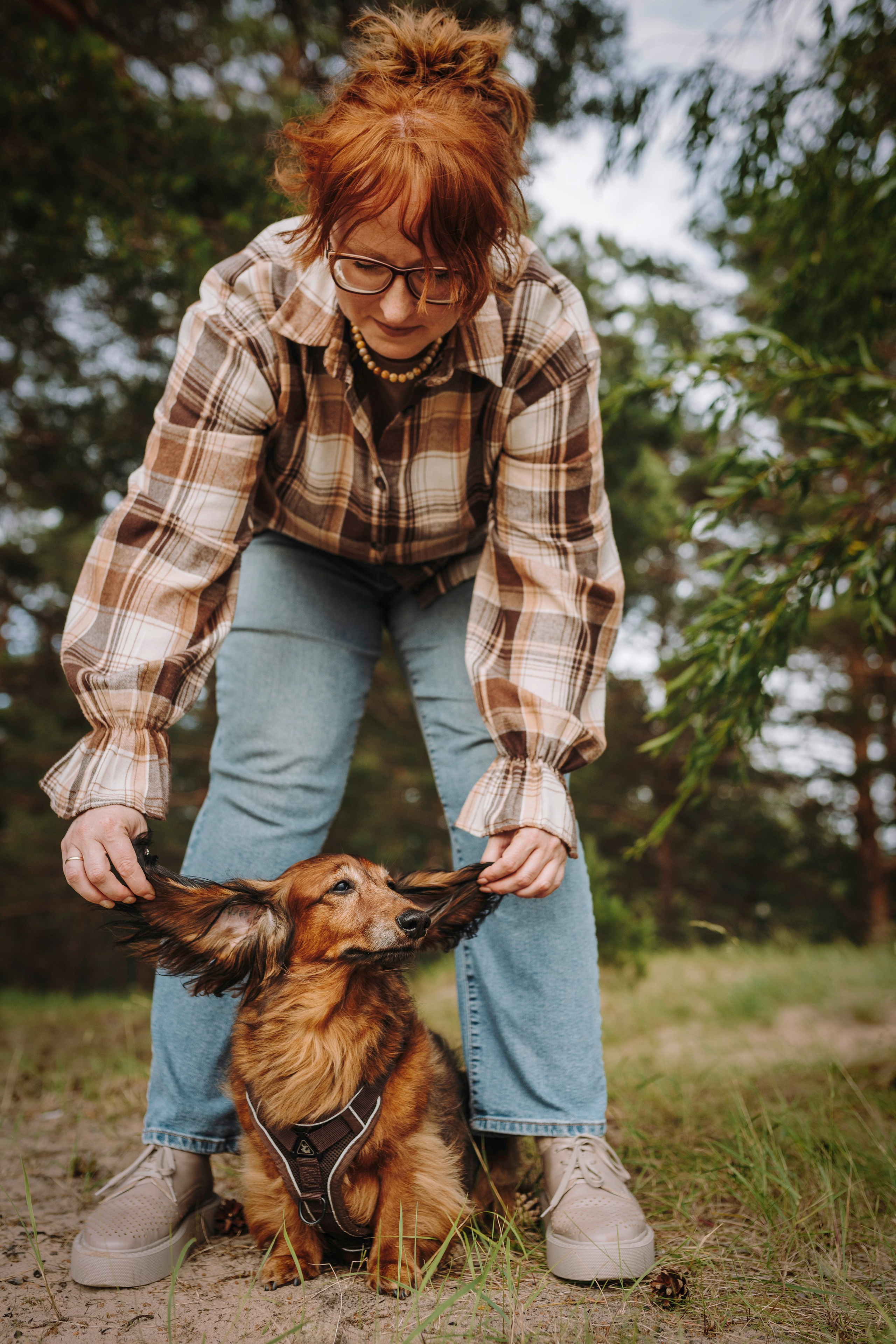 Фотосессия с длиношерстной таксой на пляжн. Фотограф анималист в Спб недорого Олеся Майорова