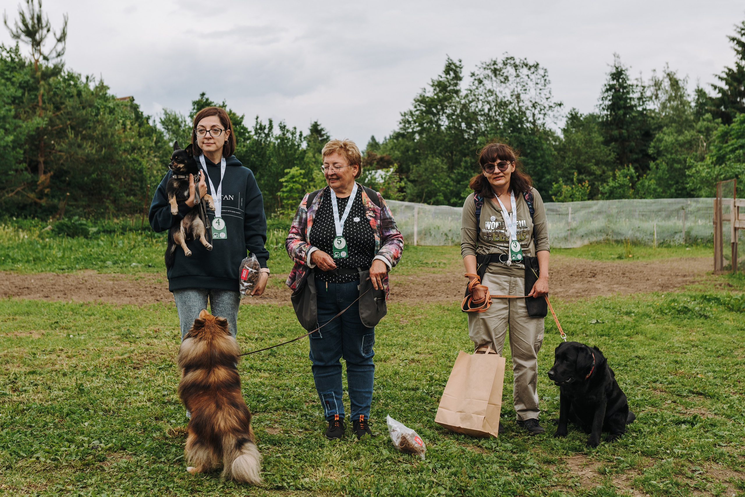 Соревнования по ноузворку. Фотограф анималист в Спб недорого Олеся Майорова