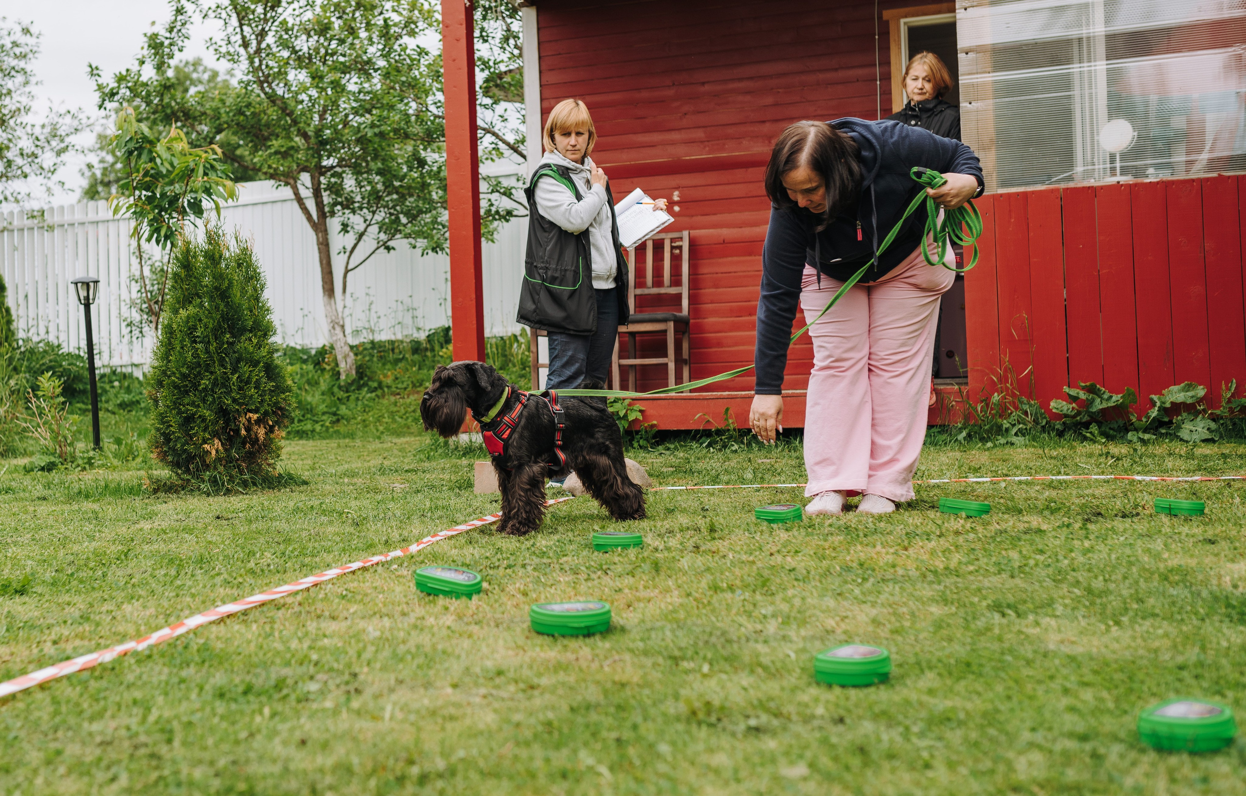 Соревнования по ноузворку. Фотограф анималист в Спб недорого Олеся Майорова