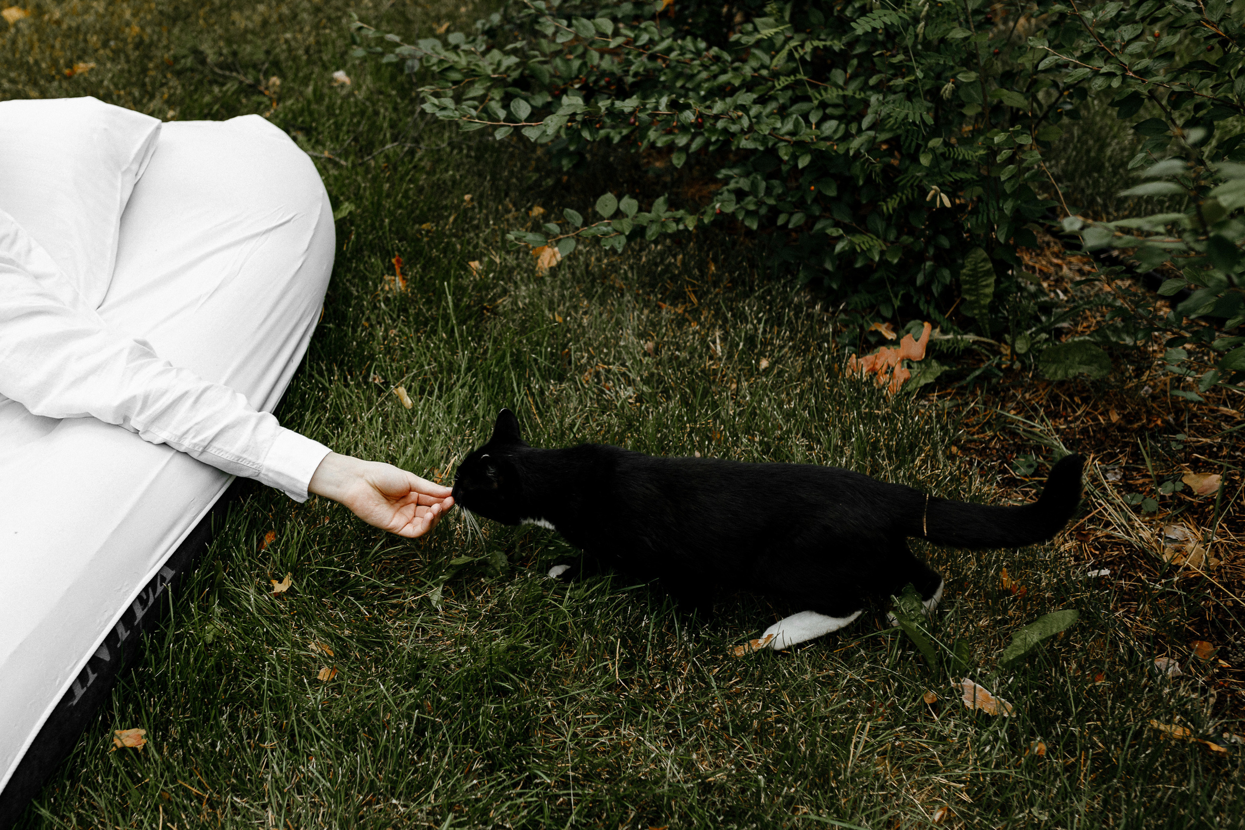 Ярослав и Маша. Гринвальд. Свадебный фотограф Балчугова Мария Екатеринбург