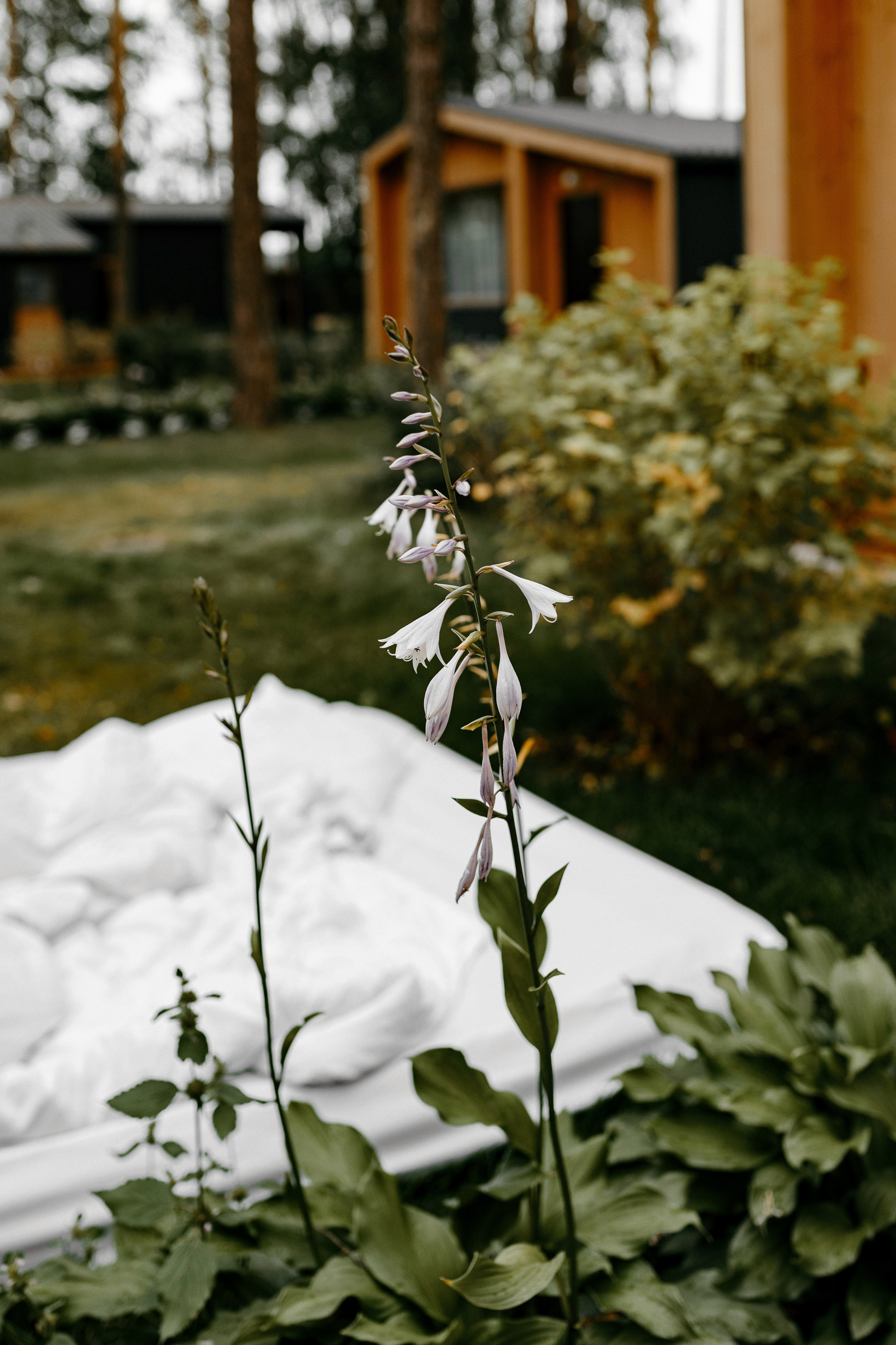 Ярослав и Маша. Гринвальд. Свадебный фотограф Балчугова Мария Екатеринбург