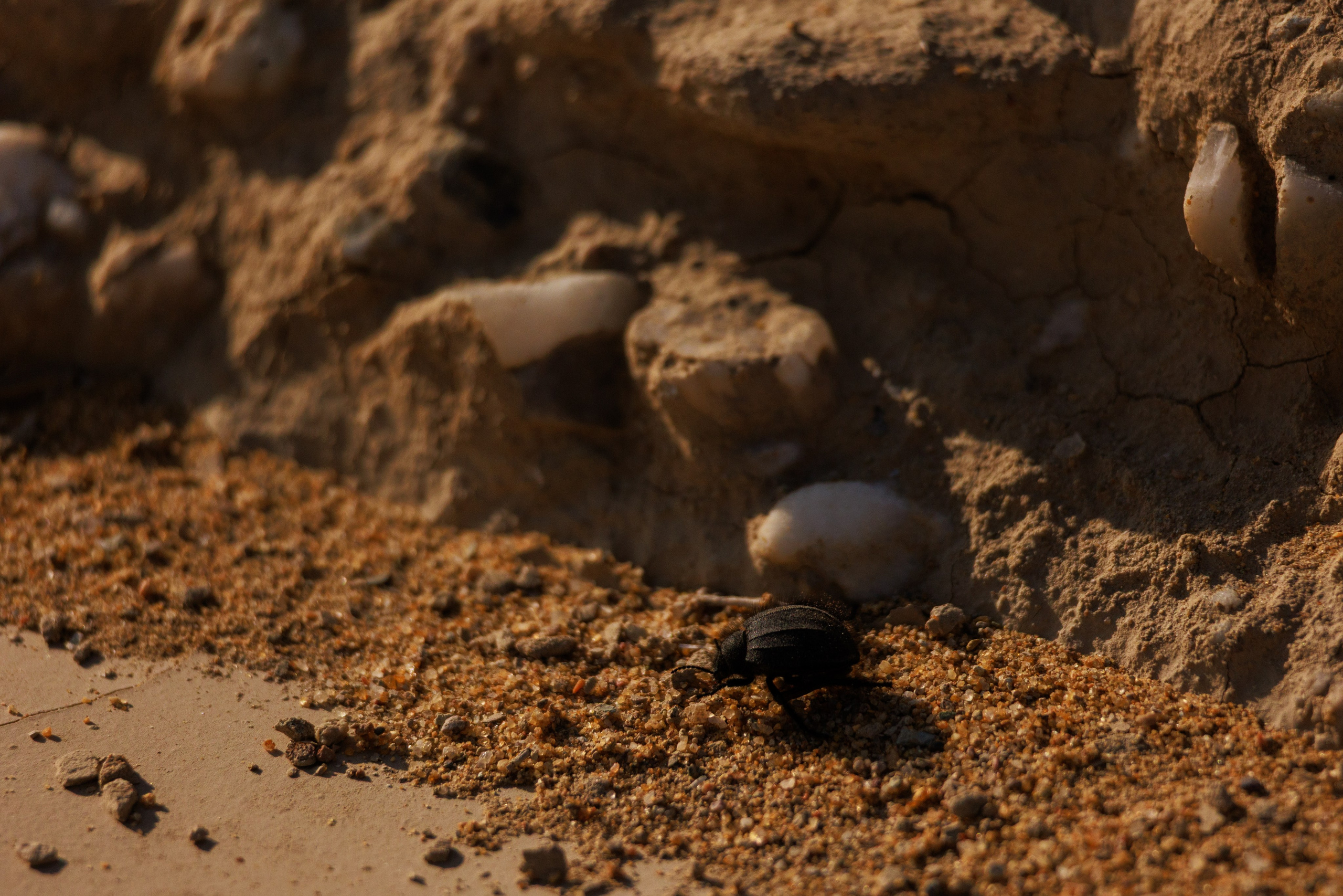 Алтын Эмель горы Актау. Фотограф Мальнева Юлия в Липецке, в Москве. Фотостудия MARU в Липецке