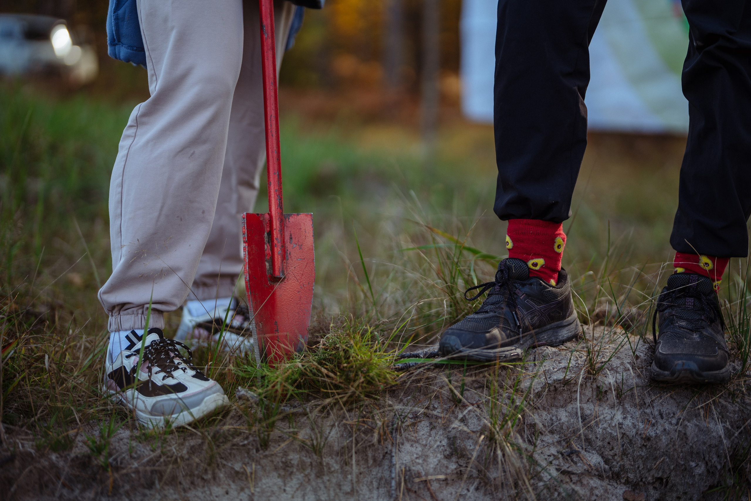 СБЕР · ЭКА · Посадка сеянцев. Владимир Вершинин, тот самый свадебный видеограф