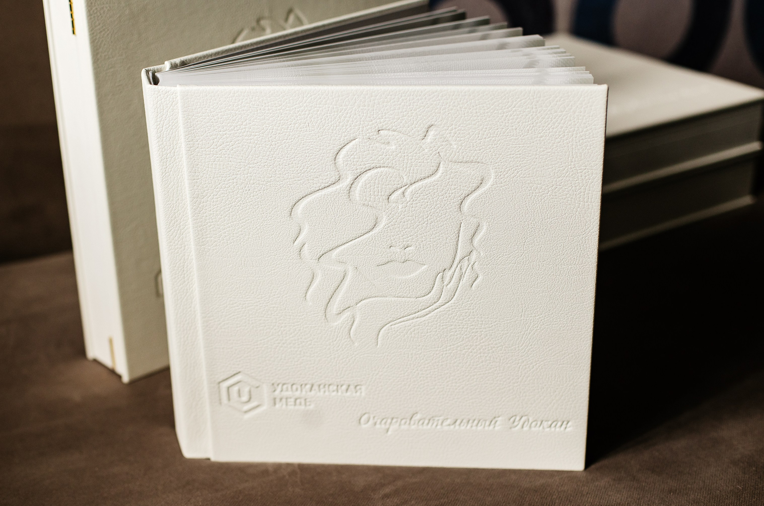 Фотокнига для организации. Фотограф Григорьева Ольга. Портретная, семейная съёмка, Love Stori, видеосъёмка в городе Чита. Выпускные альбомы, фотокниги