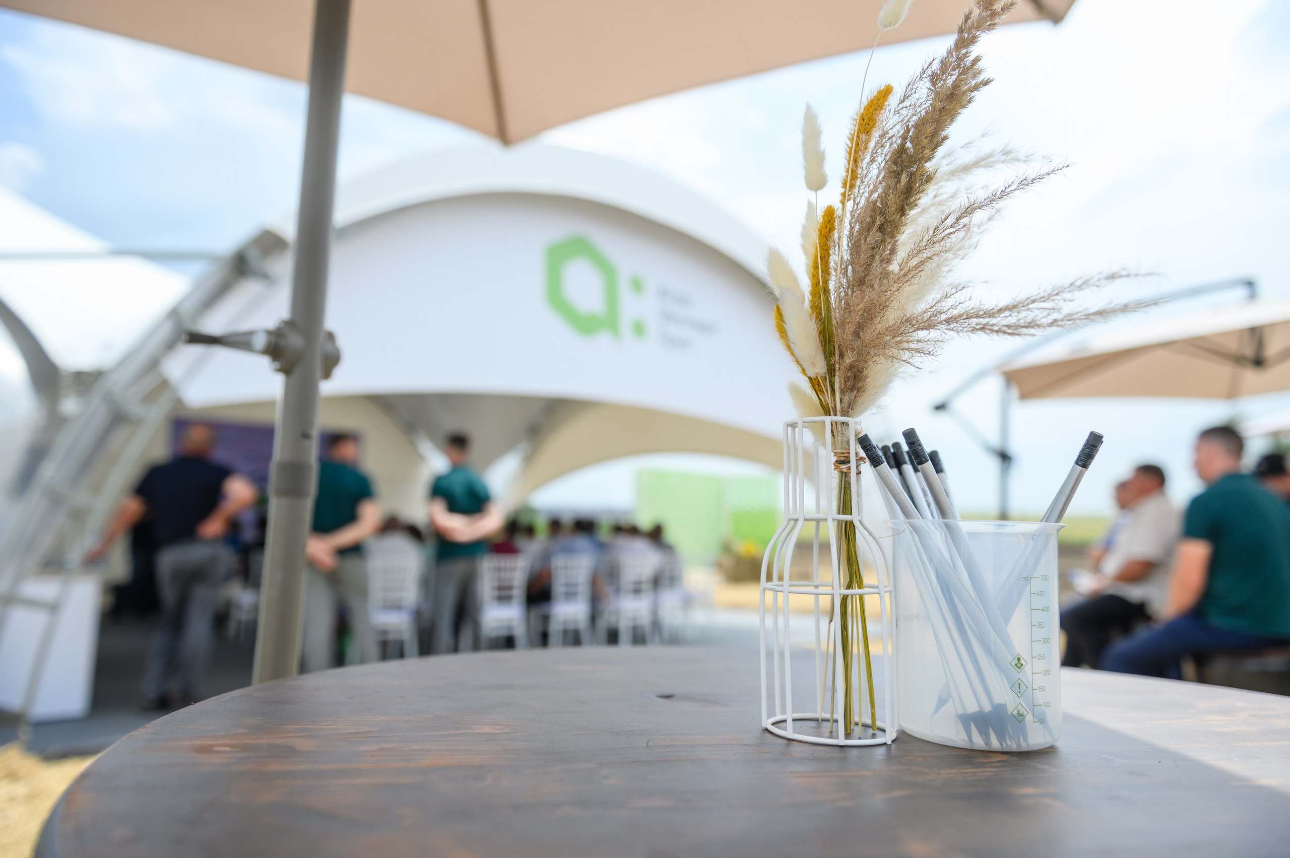 Проекты. Профессиональный фотограф Вячеслав Плацында | Липецк |