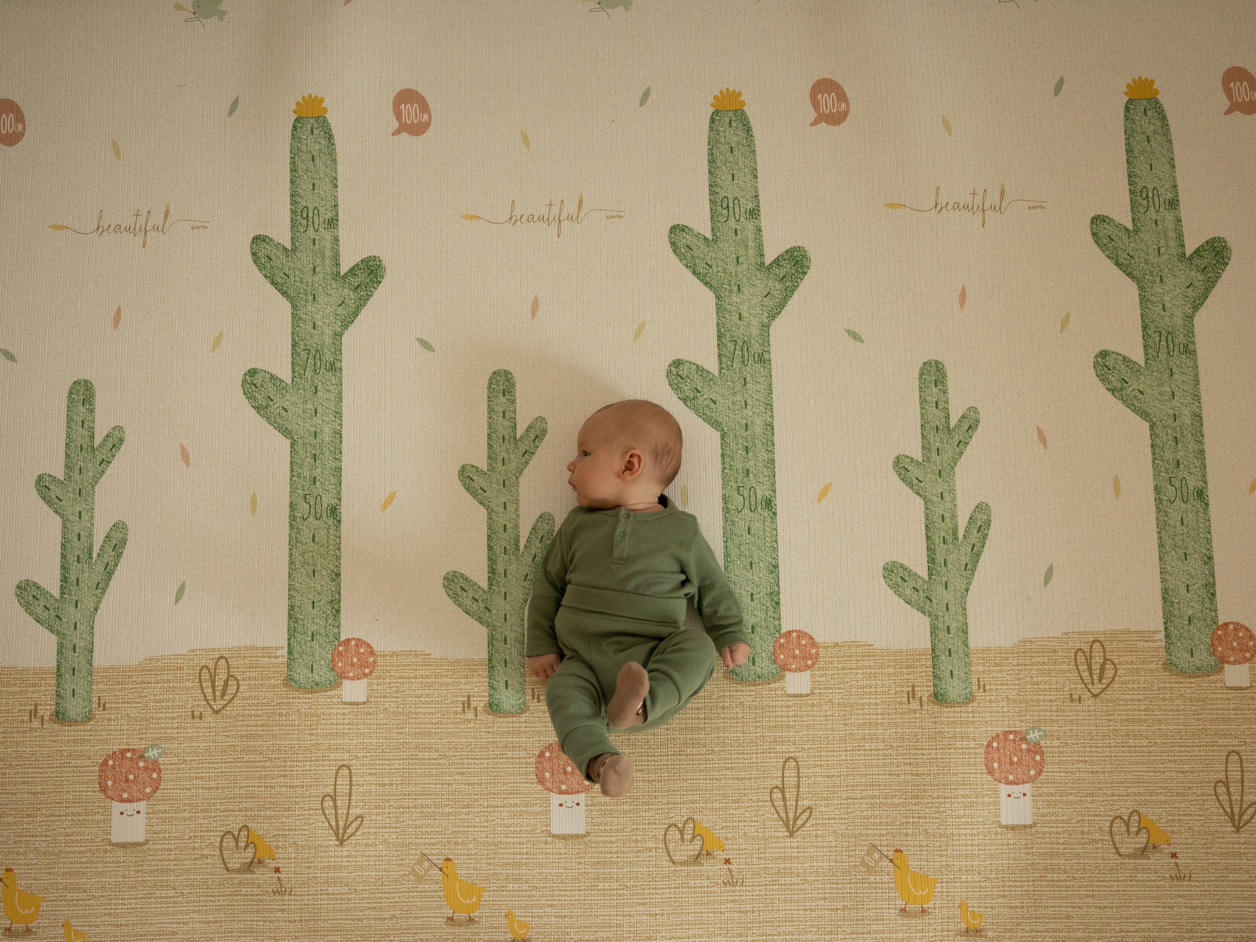 «Рarklon». Фотограф новорожденных Екатеринбург, детский фотограф в Екатеринбурге,