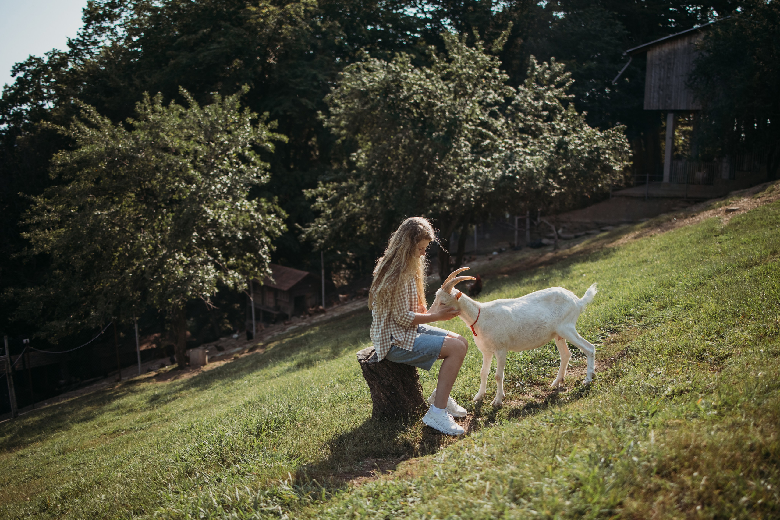 Ферма Экзархо. Фотограф Сочи Татьяна Зорина