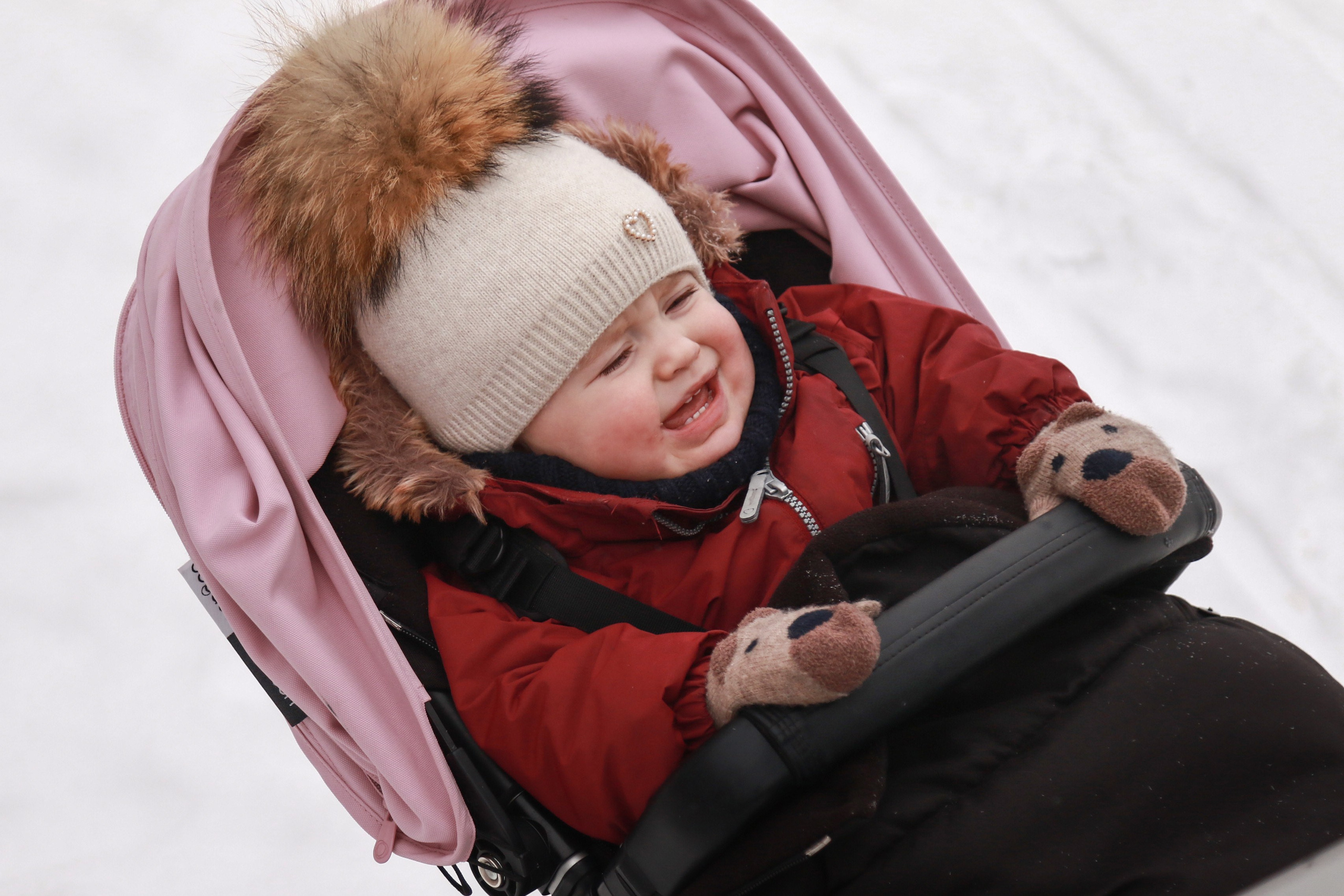 Красотки на снежной прогулке. Фотограф Зеленоградск Лиана Сопина