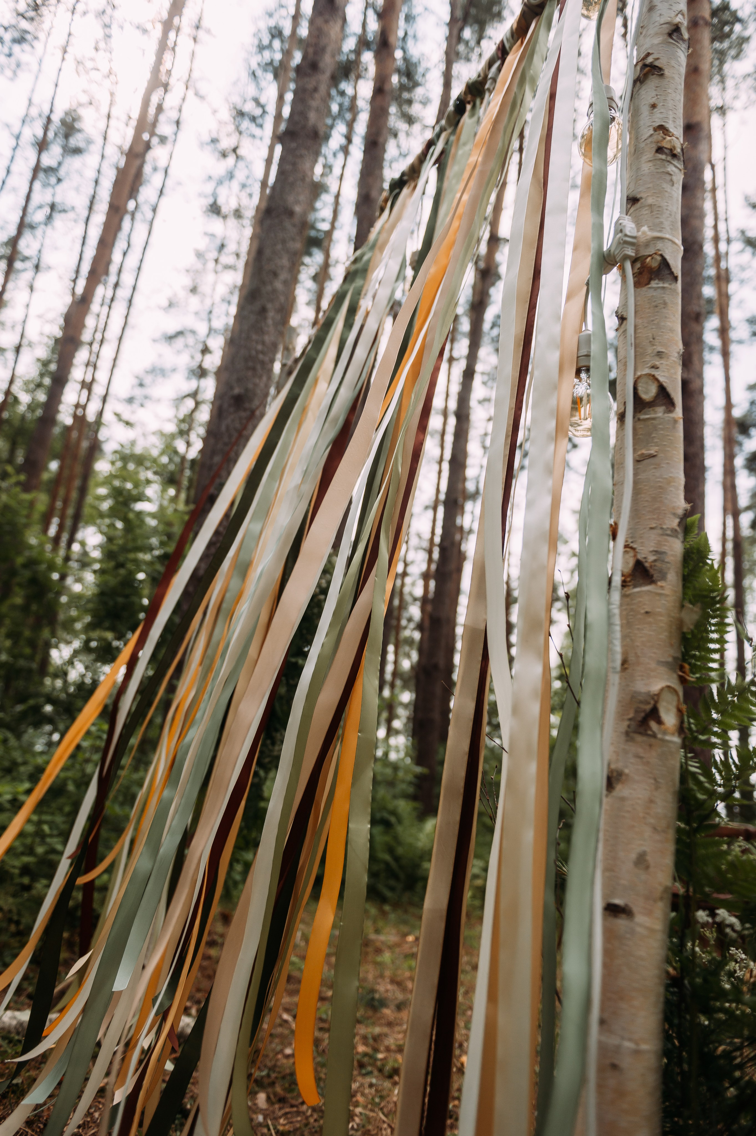 Полина & Сережа. Свадебный фотограф Алёна Замотаева