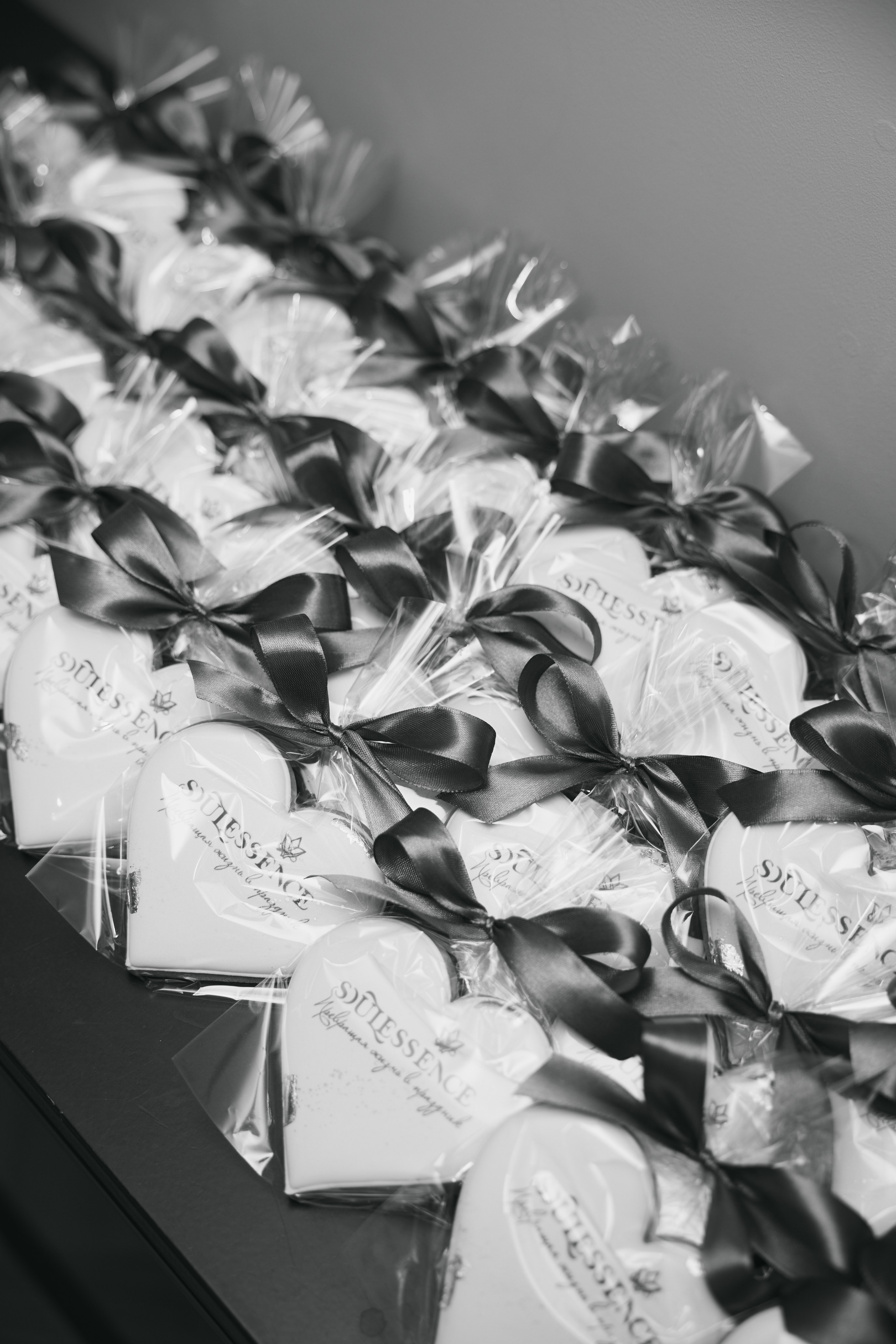 WOMAN WINGS FW 25|26 фото. Профессиональный фотограф Татьяна Евглевская