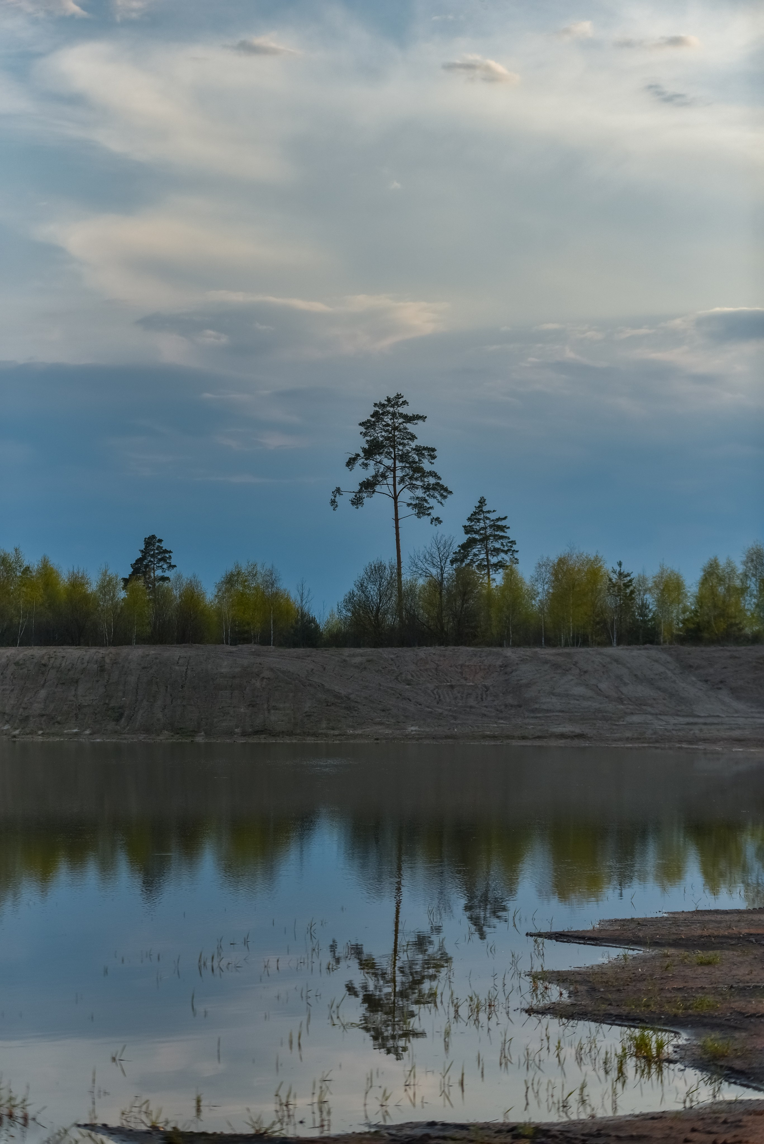 Природа. Съемки в стиле Goblicore и прочая нечисть. Конный фотограф из Москвы Ирина Бондаркова