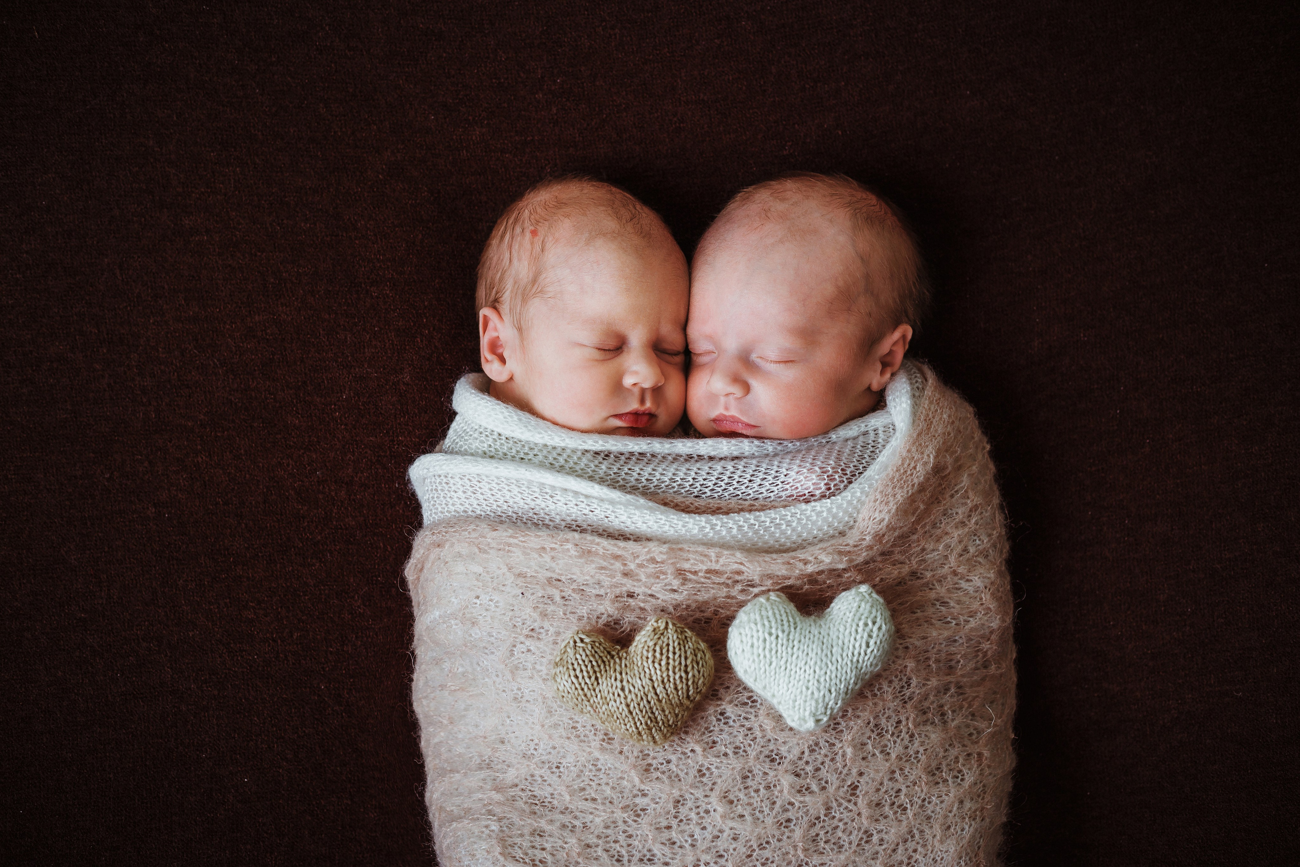 Таисия и Есения, пакет «Стандарт», 21 день. Фотограф новорождённых Екатерина Боброва. Ульяновск