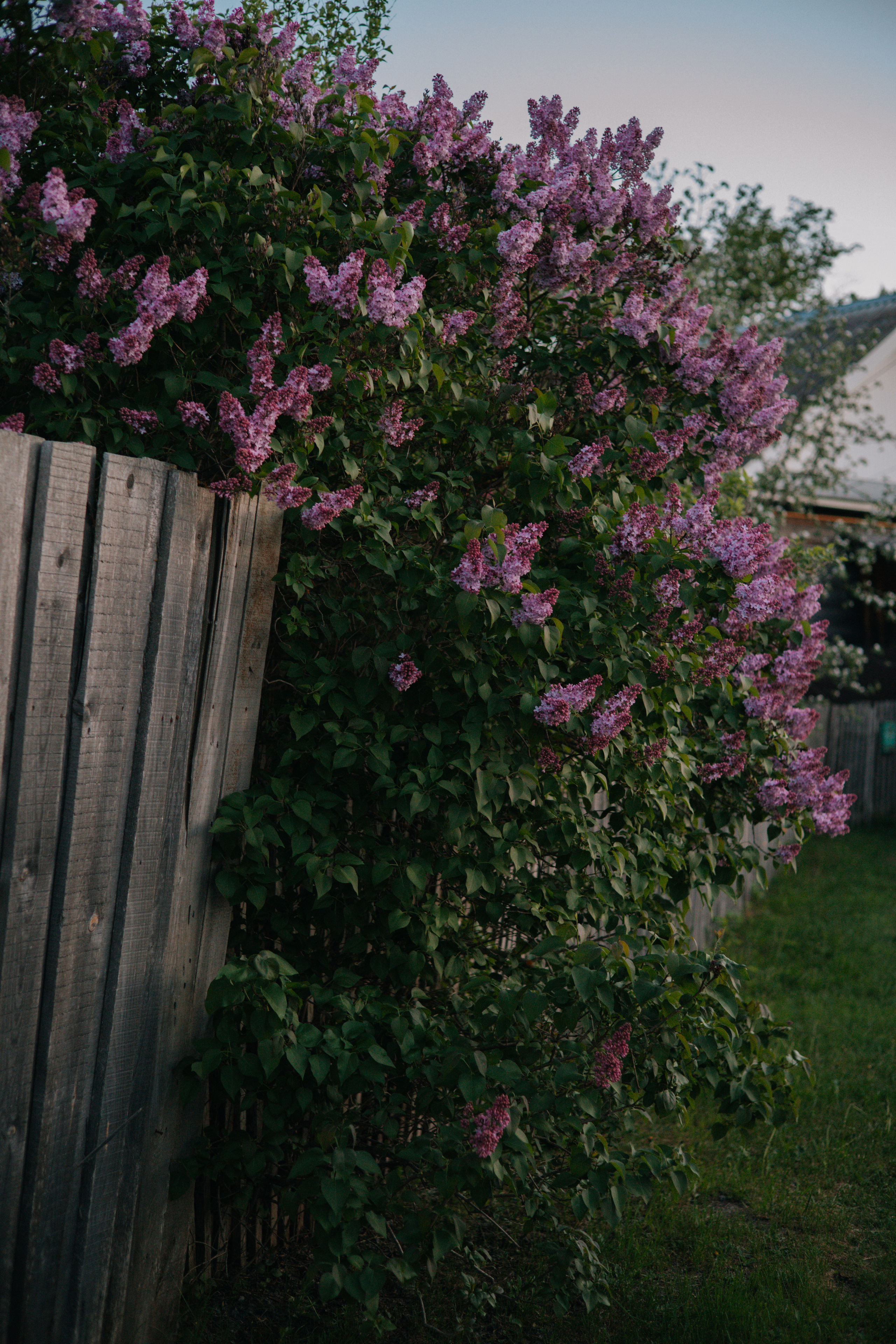 Фотосессия на озере и закат с Анастасией. Семейные и индивидуальные съемки в Йошкар-Оле