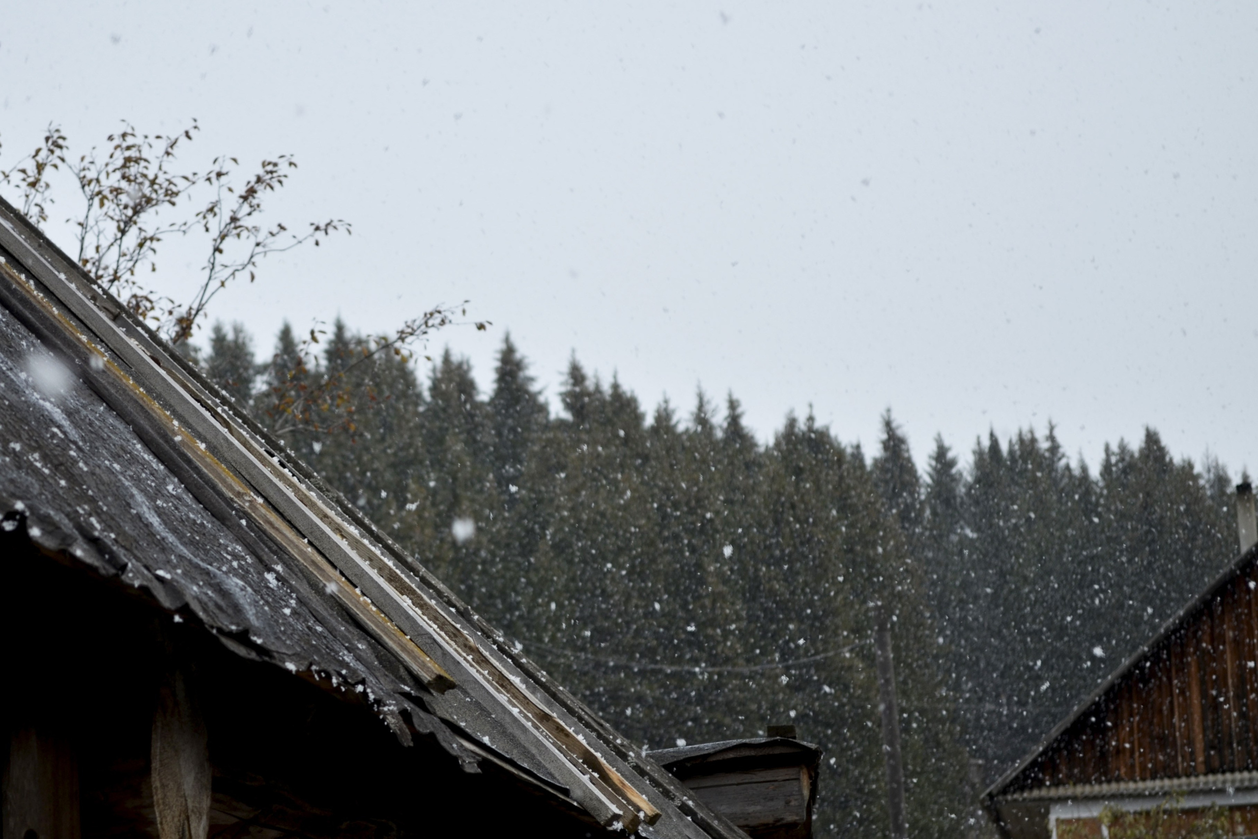 Природа. Анастасия Куц | фотограф | Пермский край