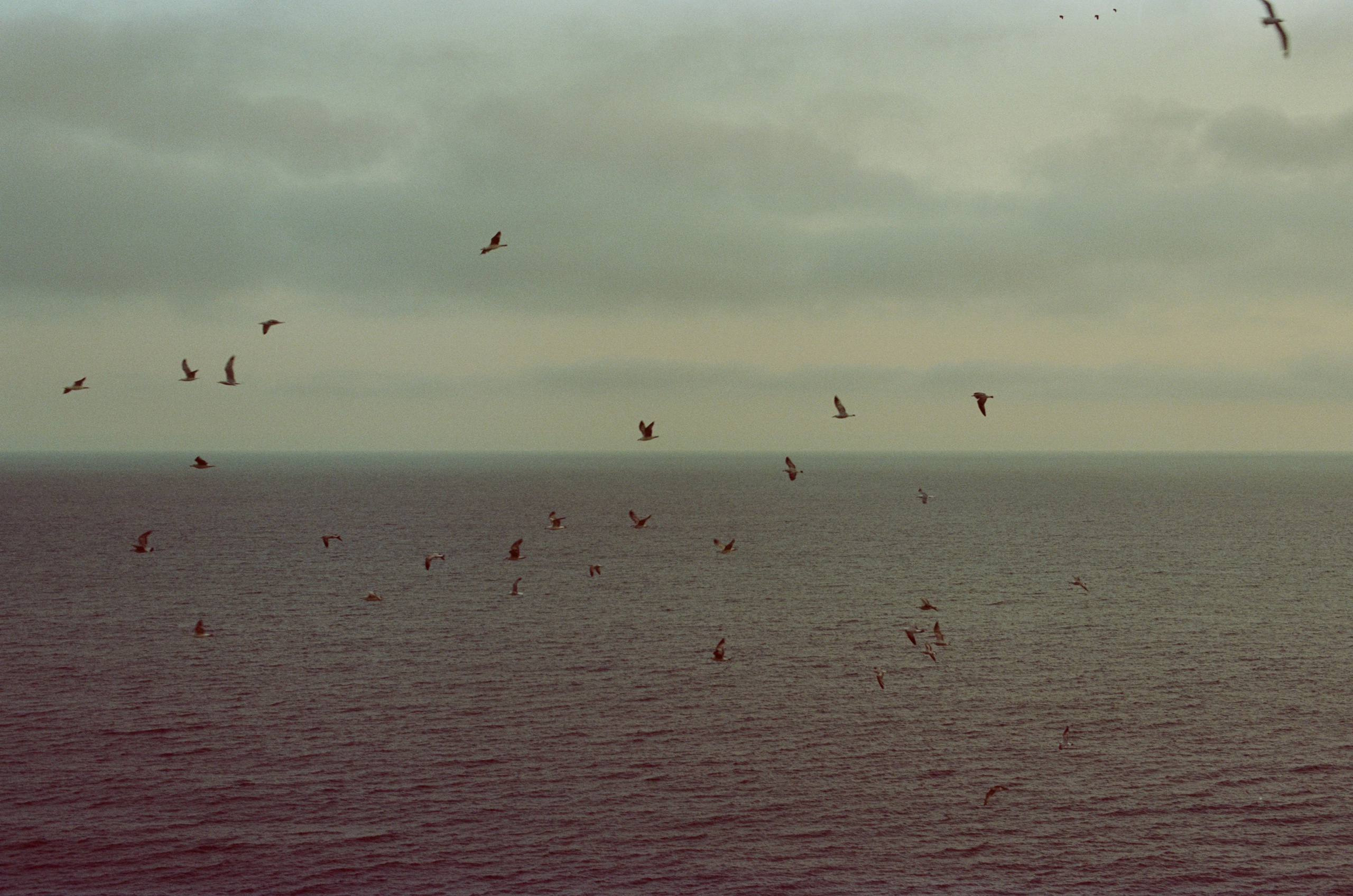 Follow you // ukraine, crimea. EVER EXPOSED