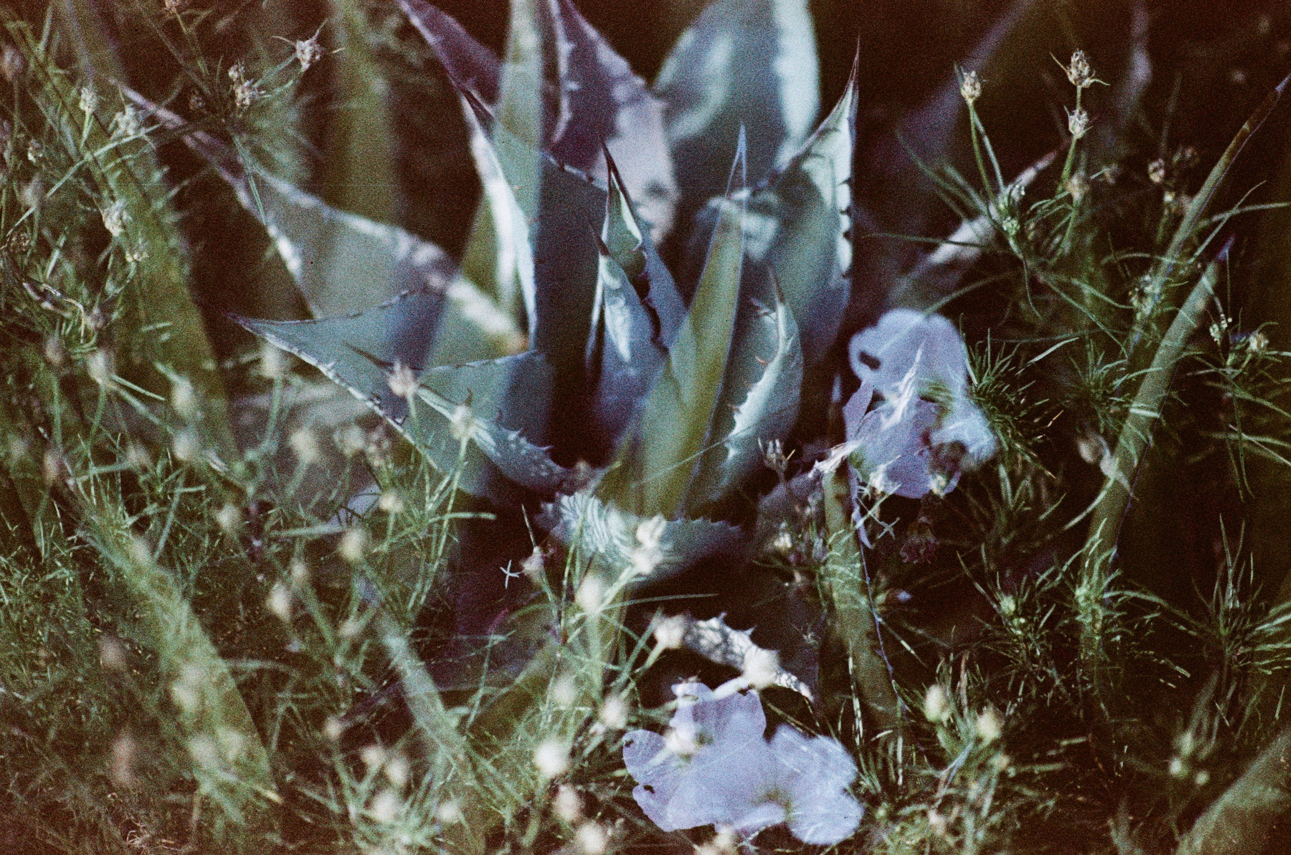 Pain shopping // ukraine, crimea. EVER EXPOSED