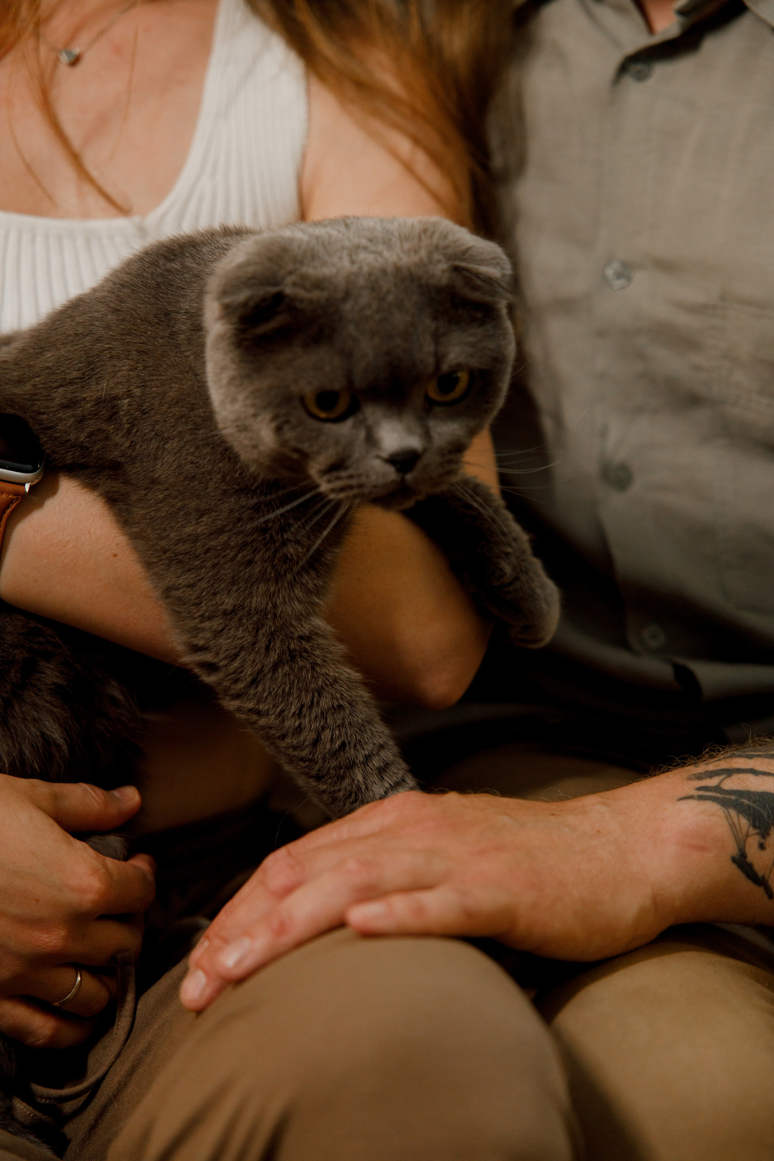 Лев 2 годика. Свадебный и семейный фотограф  во Владивостоке Ольга Украинец