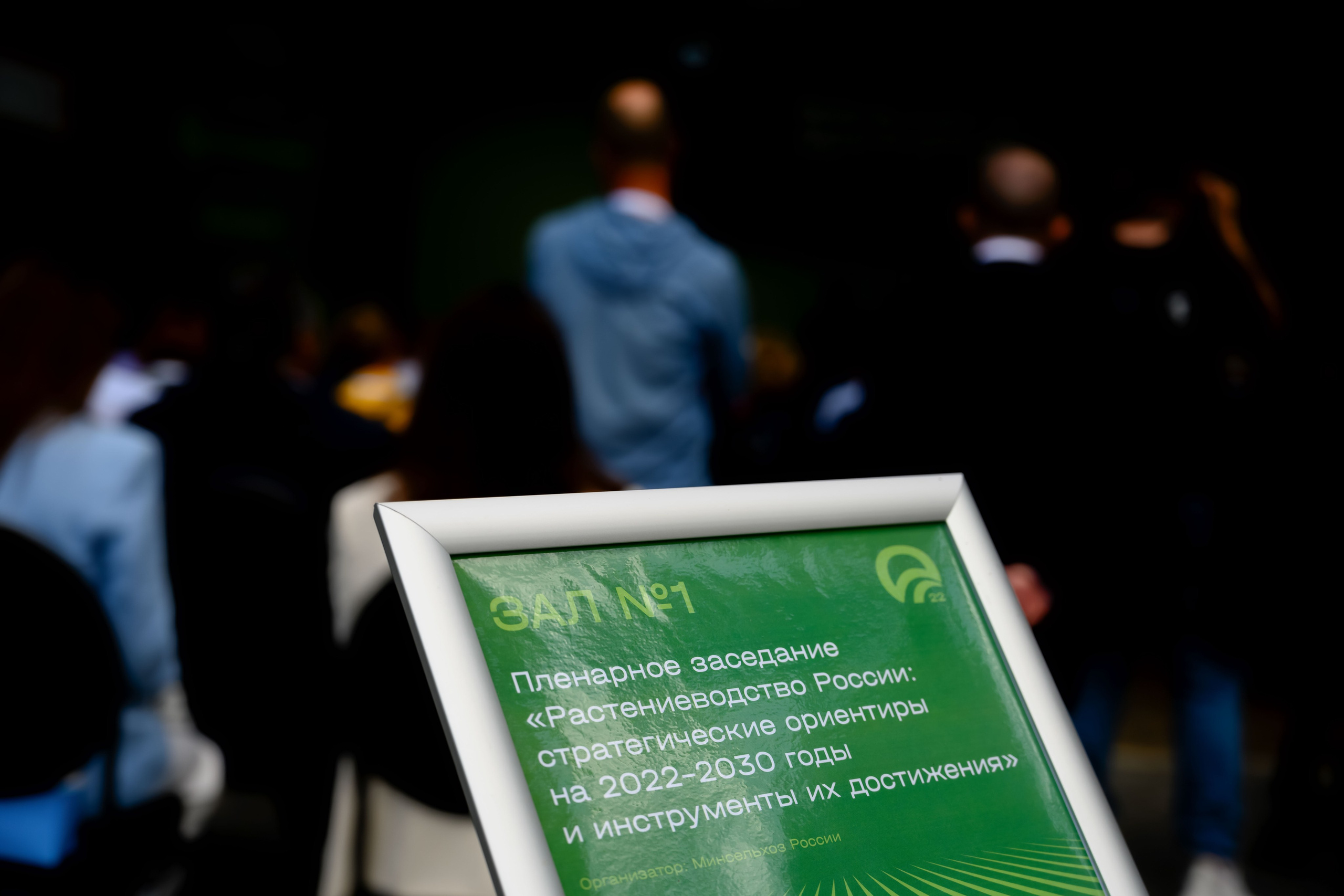 Всероссийский День Поля 2022 (Калининград). Fotolux