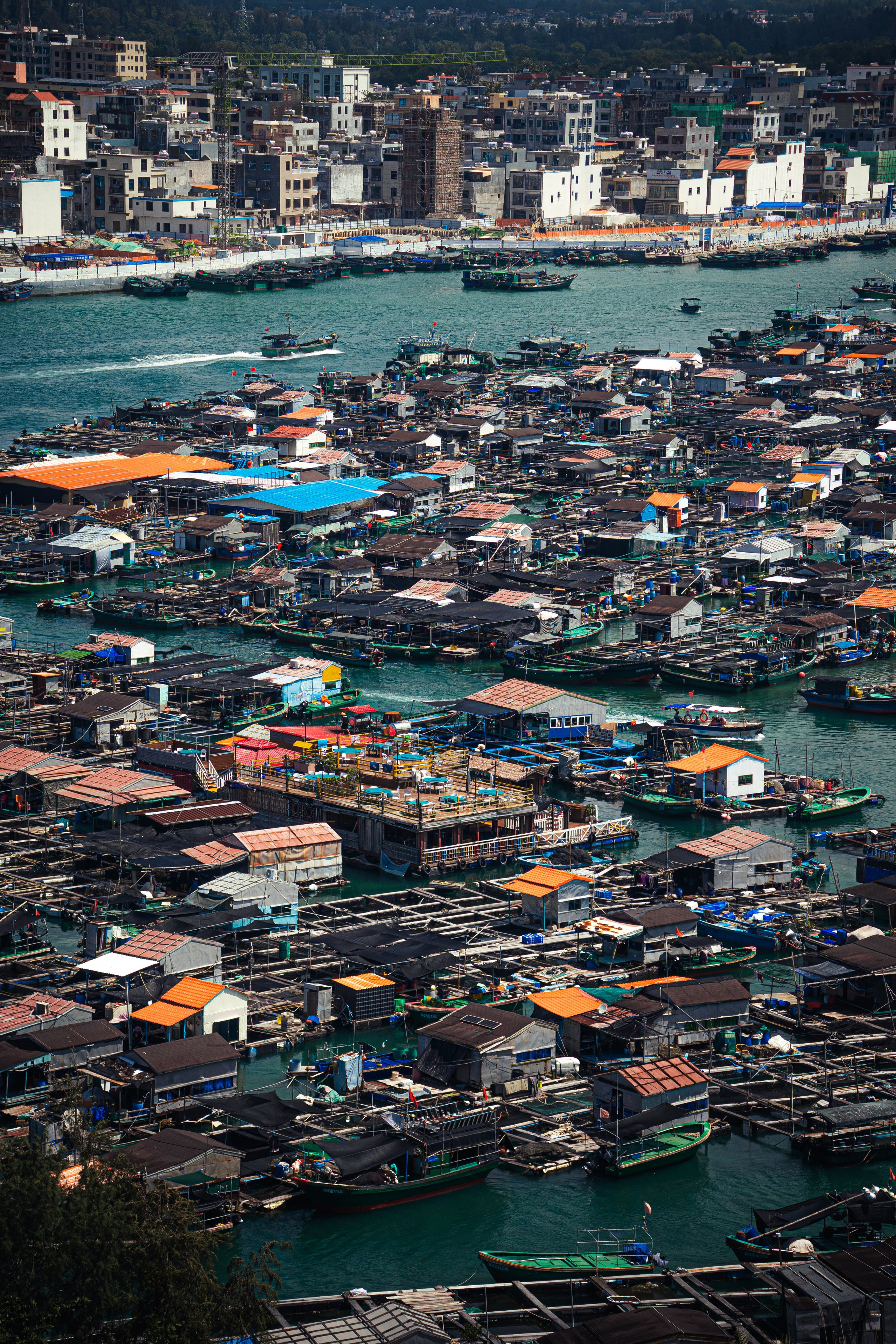 Портфолио Гончаренко Павел. Ма, я фотю📸