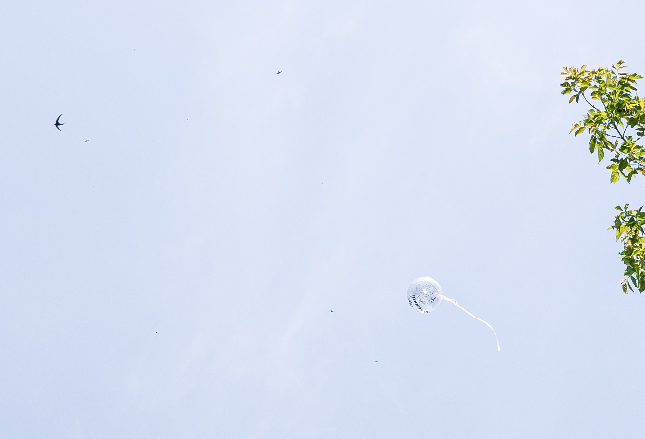 Евгений и Татьяна. Свадебный и семейный фотограф в Челябинске Юлия Ишимова