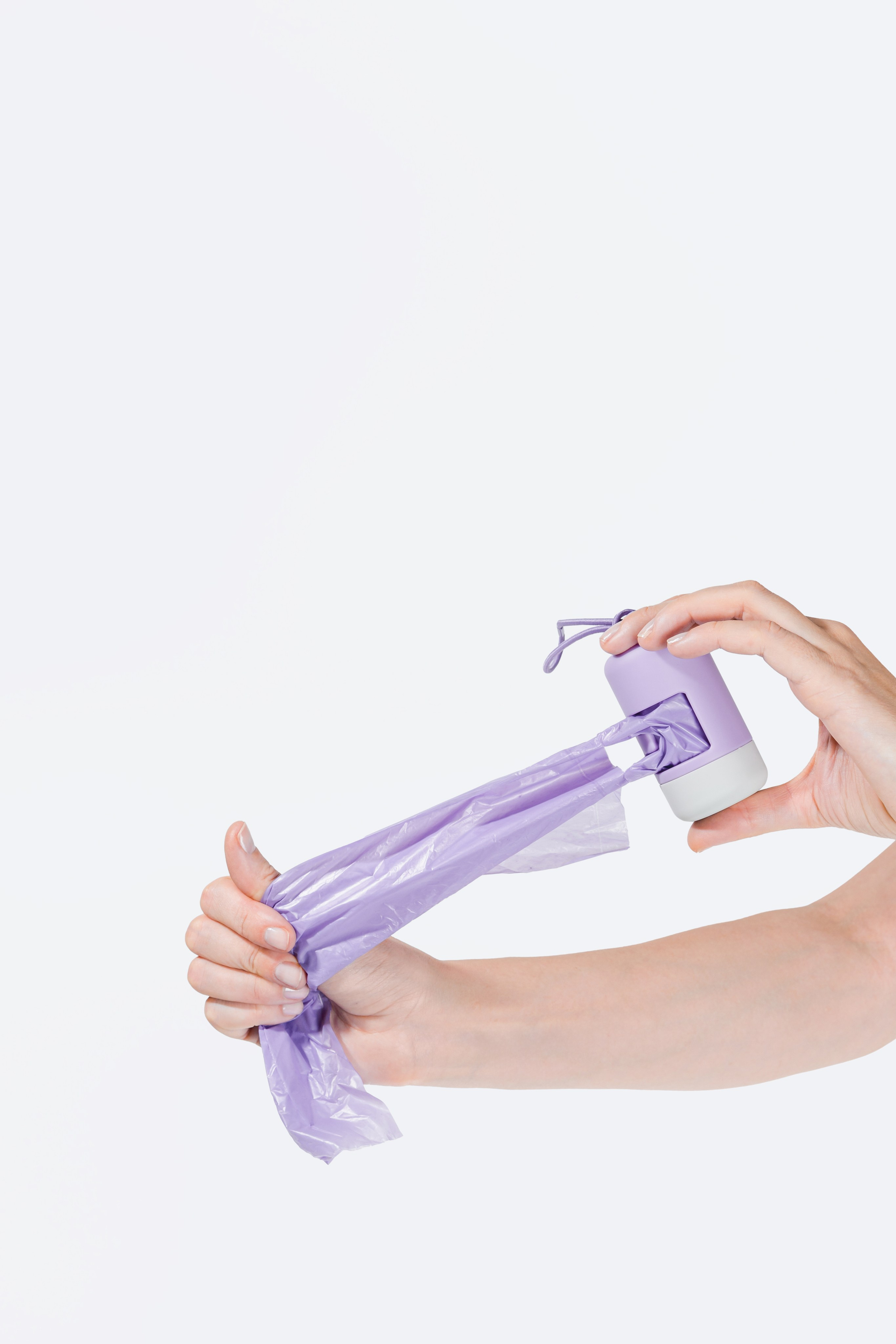 In good company для собак. Фотограф в Москве Татьяна Драгунова