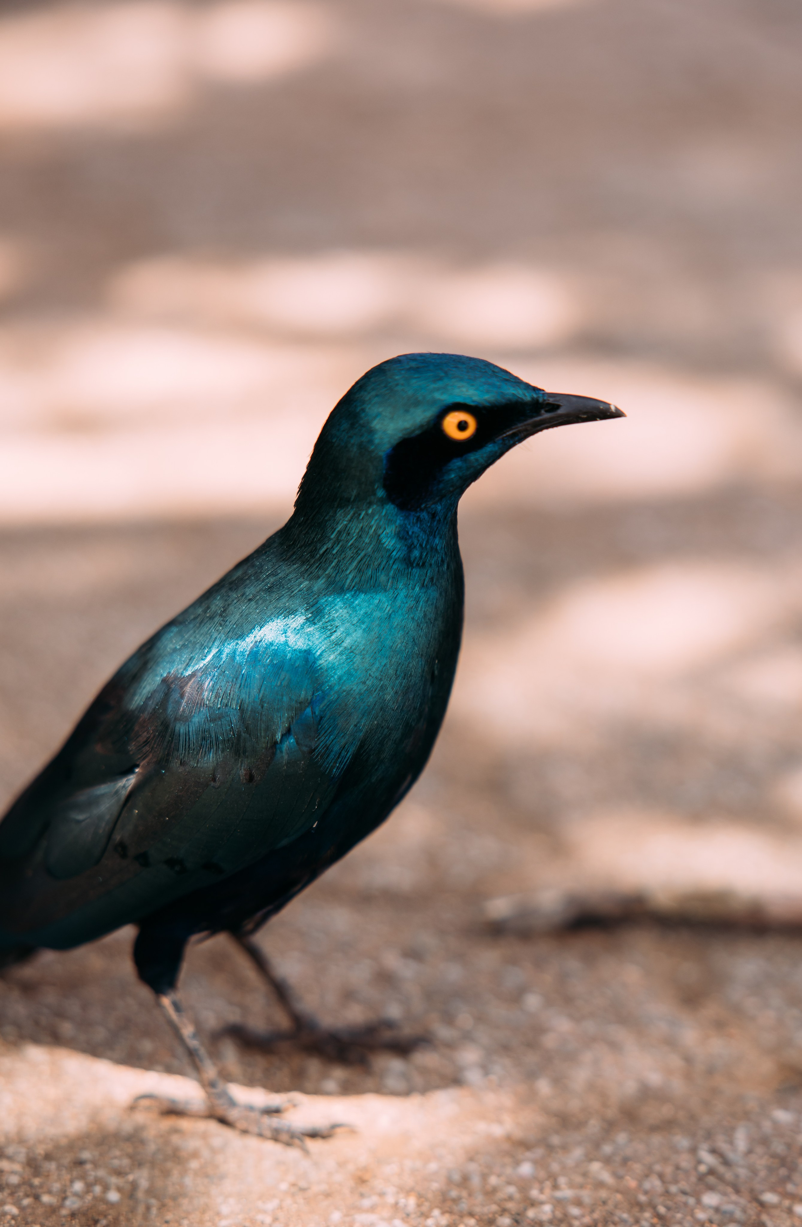 ФОТО ТУРЫ ПО МИРУ. Фотограф Марина Аблаева-Кожедуб