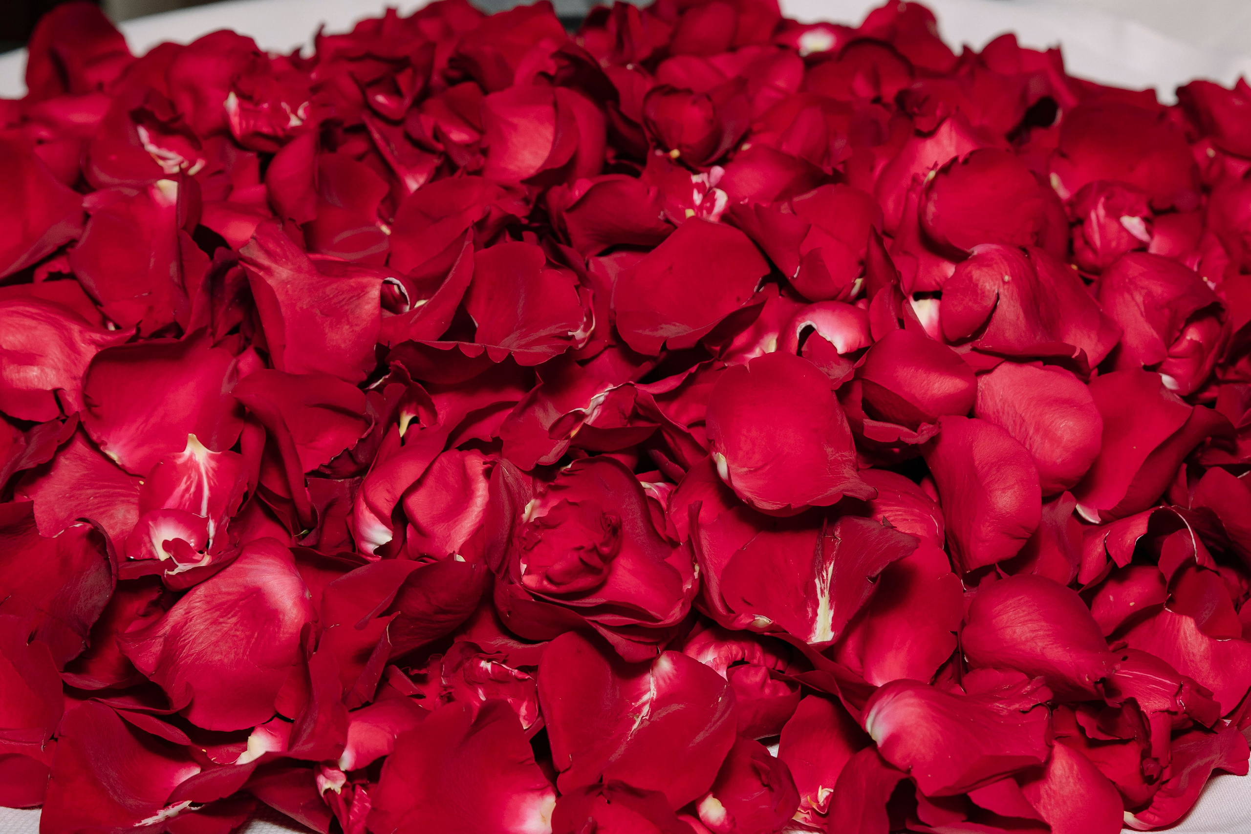 Дом Души с Анастасией Кичатовой. Профессиональный фотограф в Москве | Заказать фотосессию и съемку