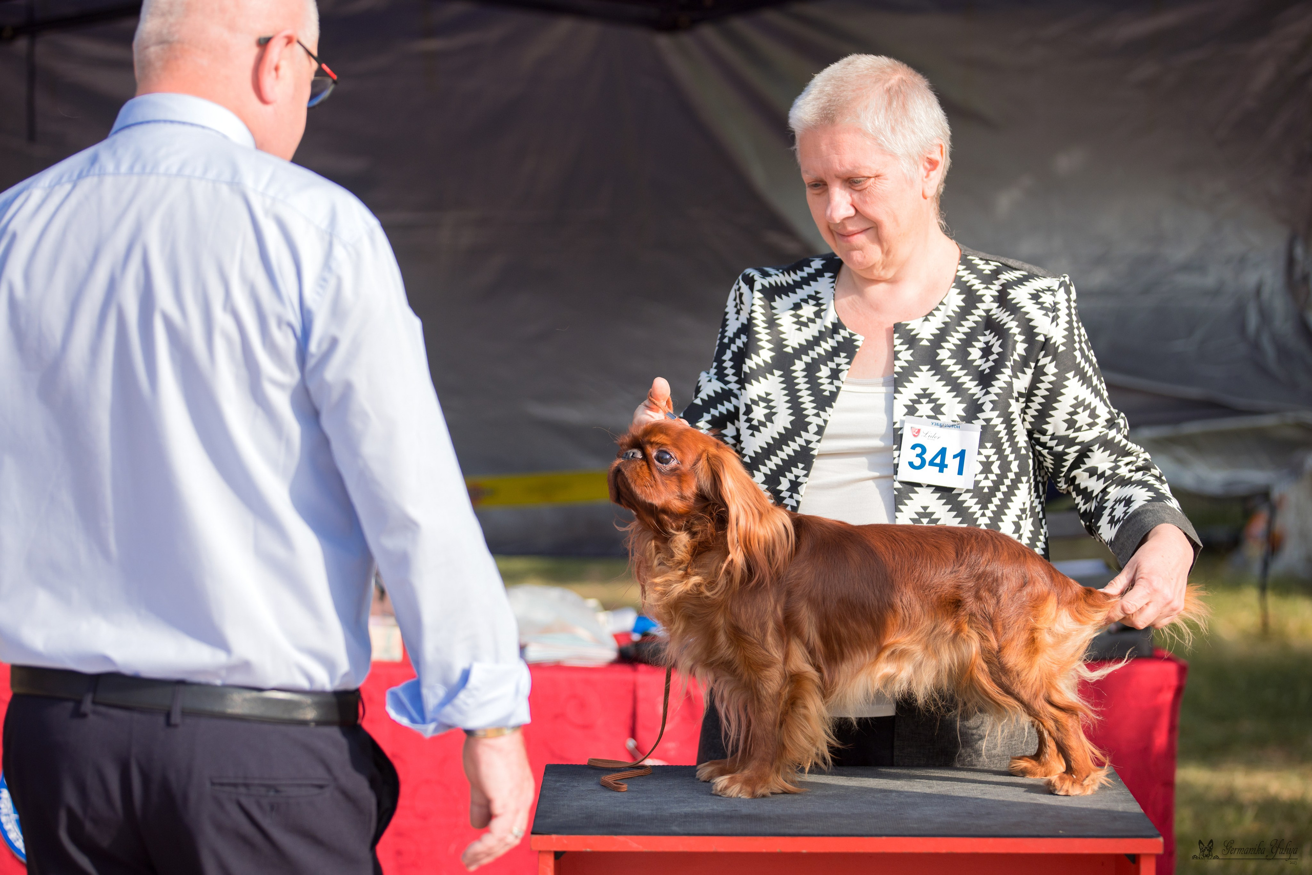 Ташкент 6-8.10.2023 + Алматы 14-15.10.2023. Фотограф-анималист Юлия Германика