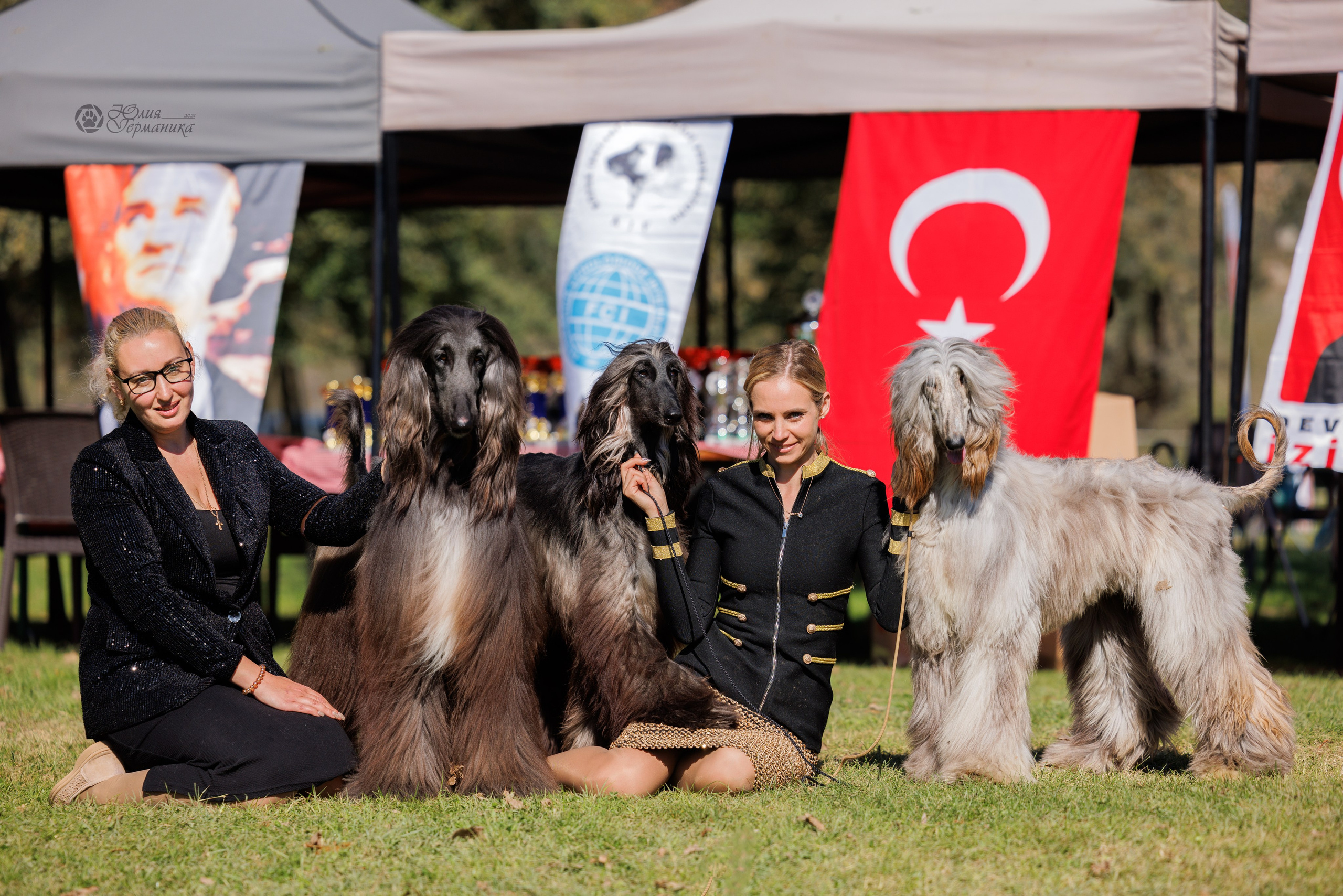 Туция,Стамбул 2хCACIB 26-27.10.24. Фотограф-анималист Юлия Германика