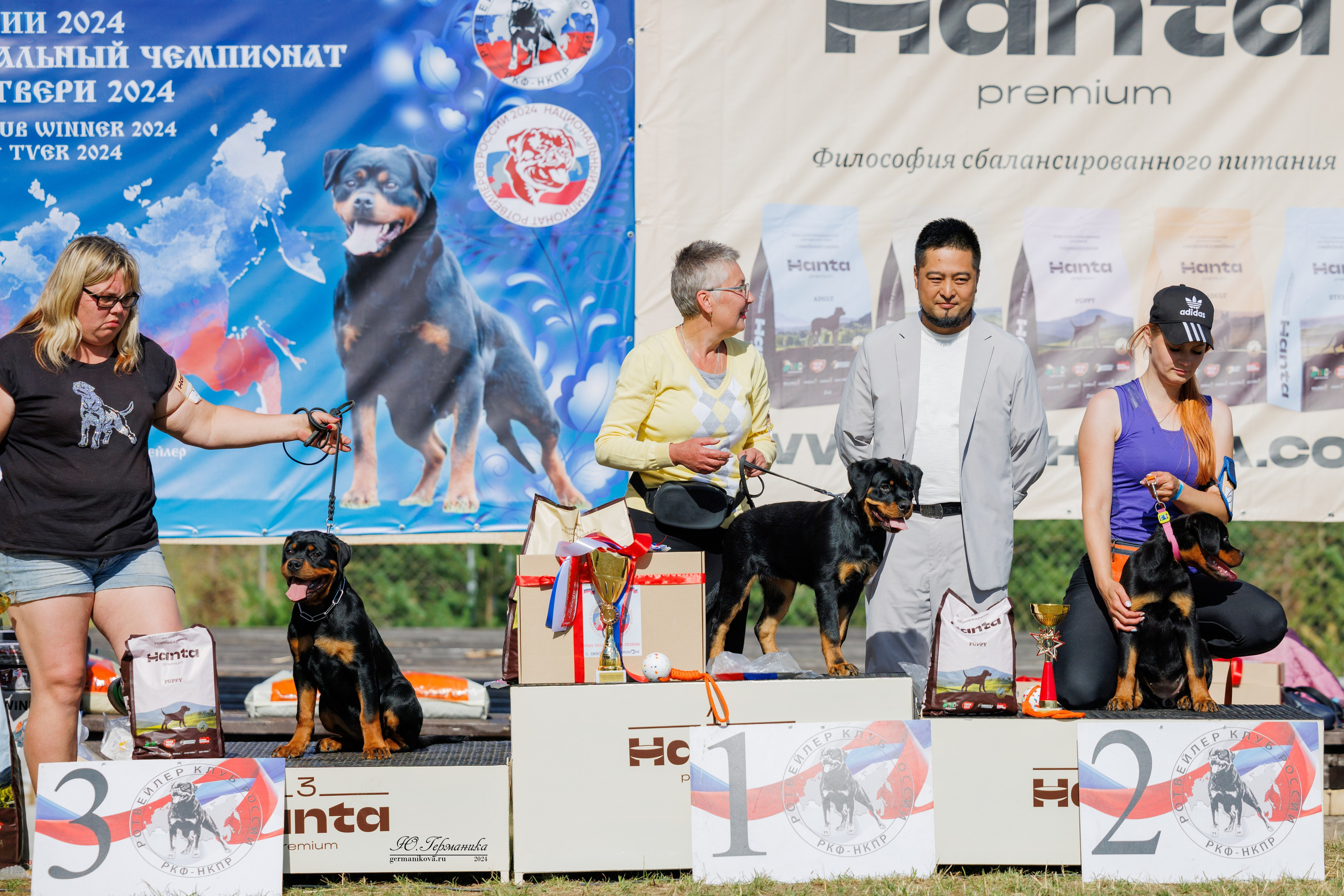 ПК и КЧК ротвейлеры Тверь 6-7.07.2024. Фотограф-анималист Юлия Германика